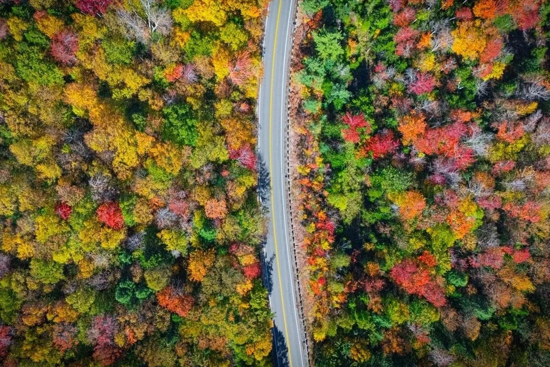 DJI_20250930022922_0055_D-2+Large.jpg
