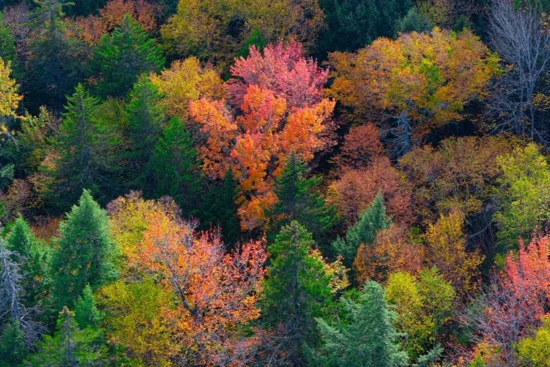 DJI_20250930040128_0085_D+Large.jpg