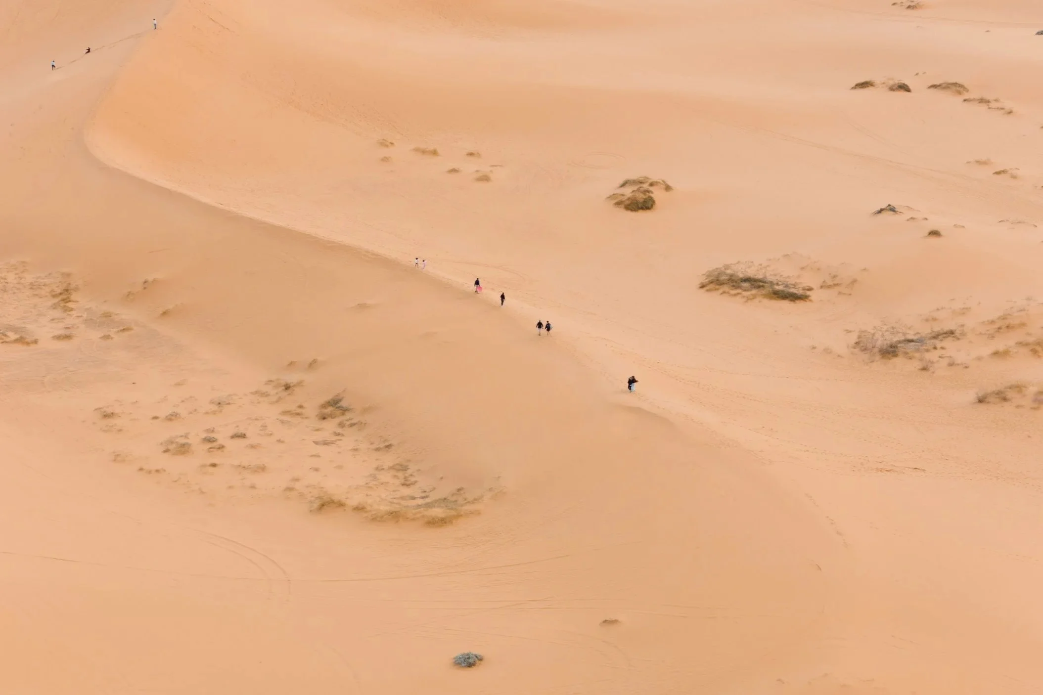 DJI_20250312073502_0064_D.jpg