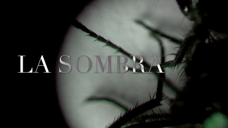 La Sombra - Walrider Music Video
