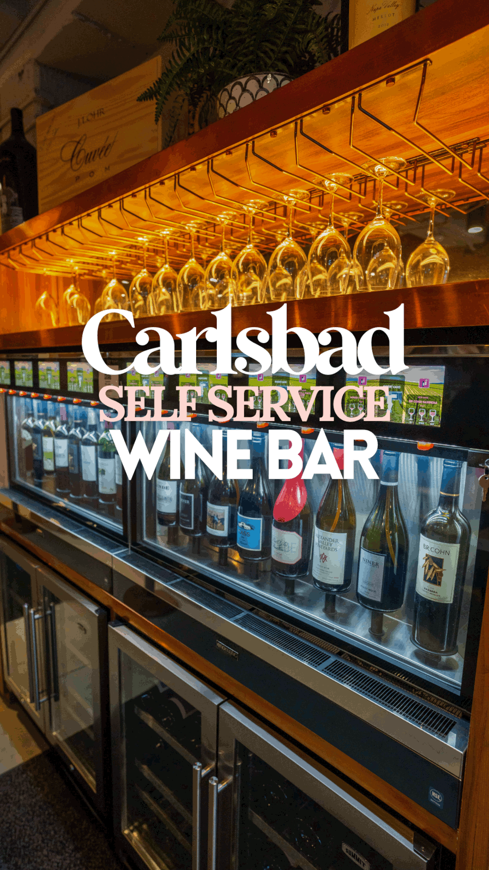 NapatiniCover LO-RES.png