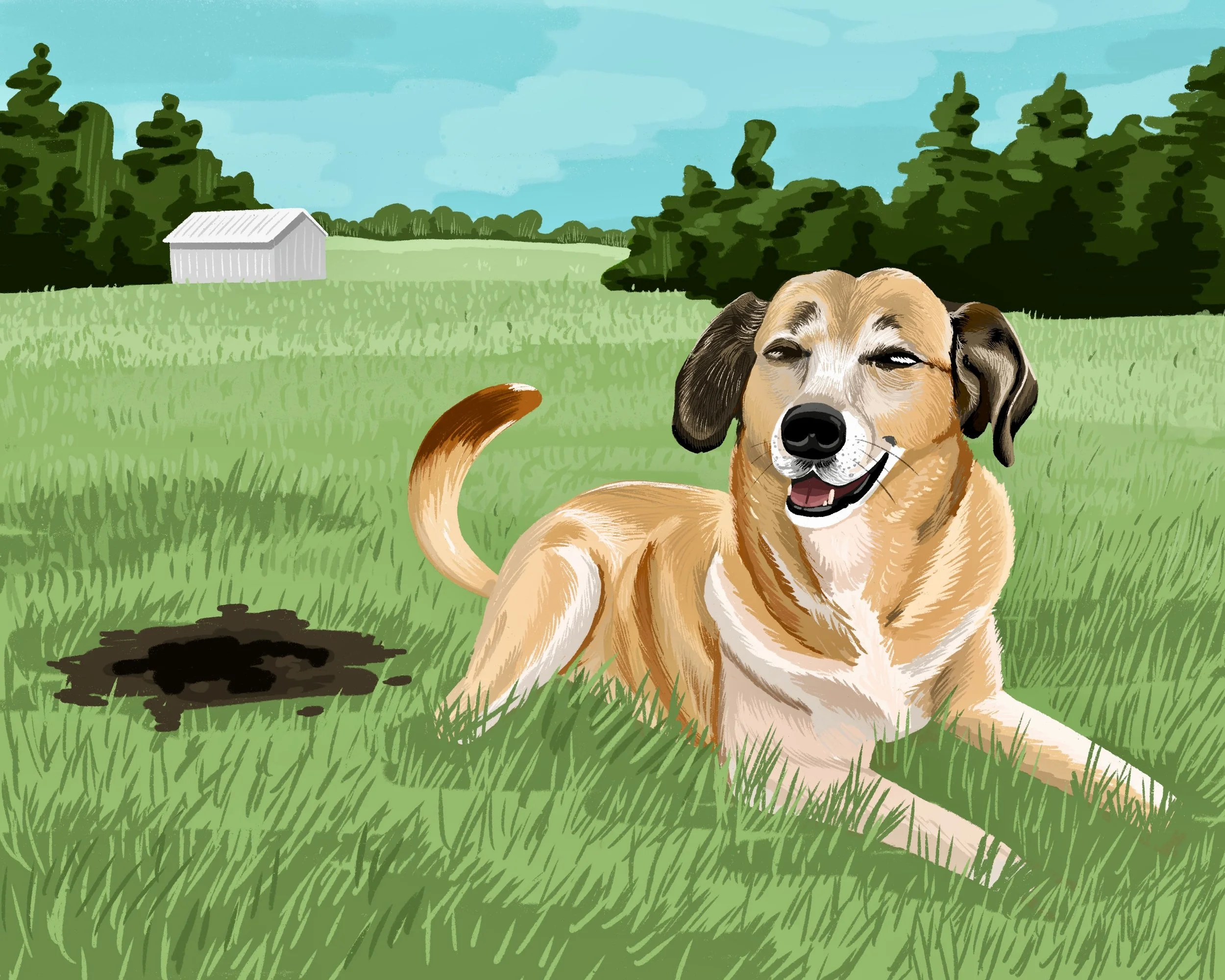 PetPortrait.jpg