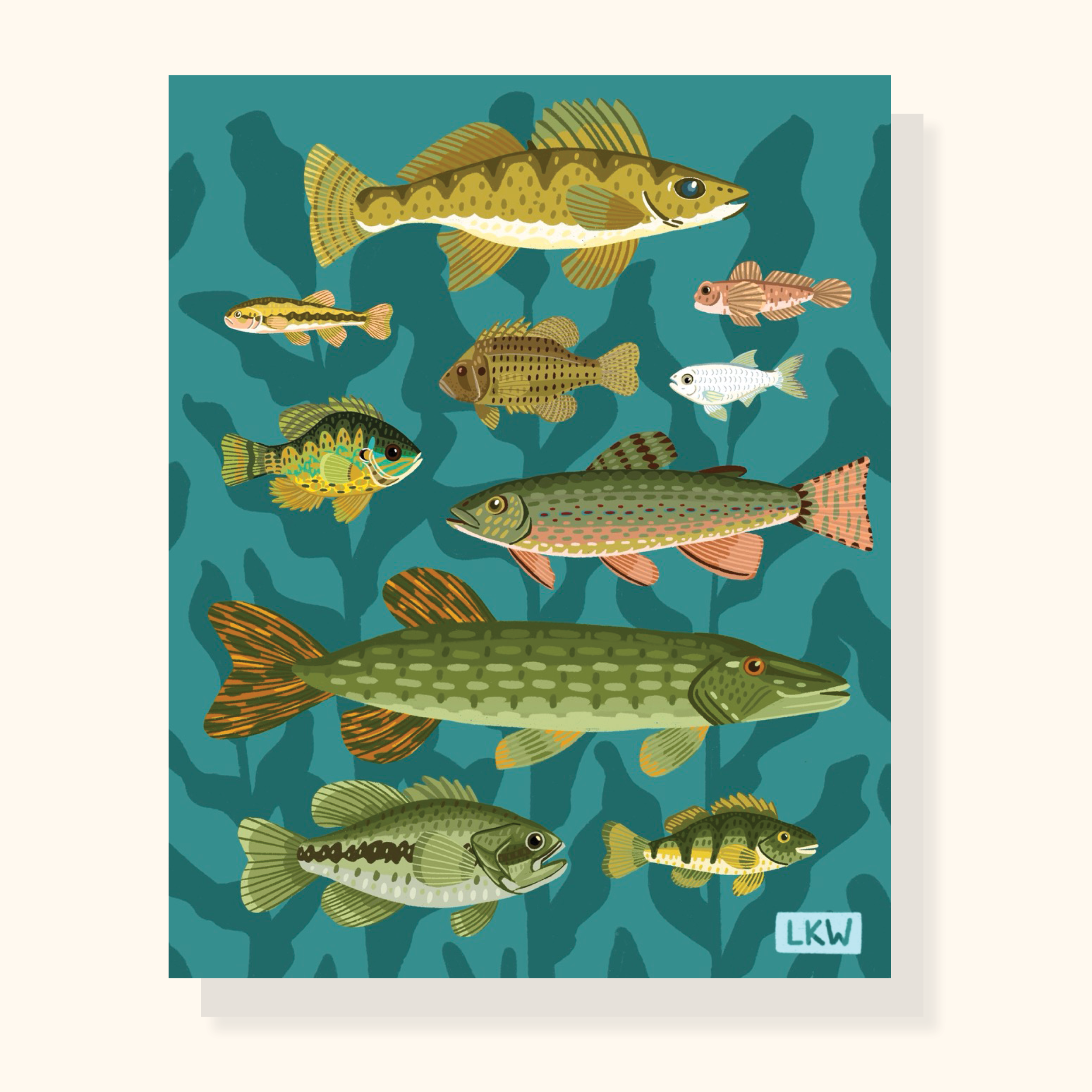 Minnesota Fish Print