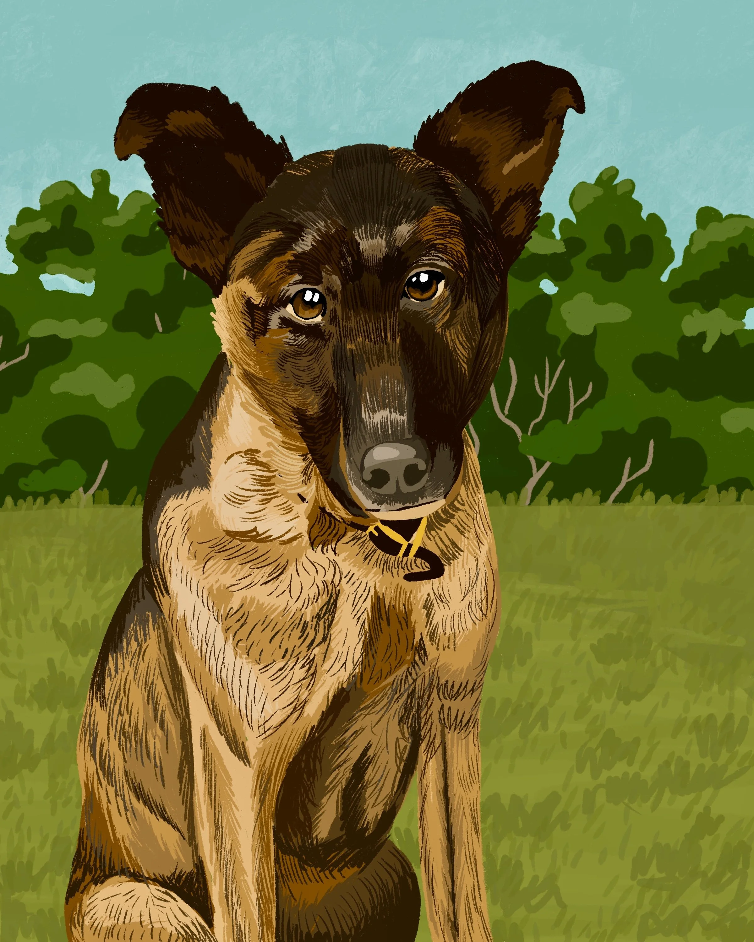 Felix Pet Portrait.jpg