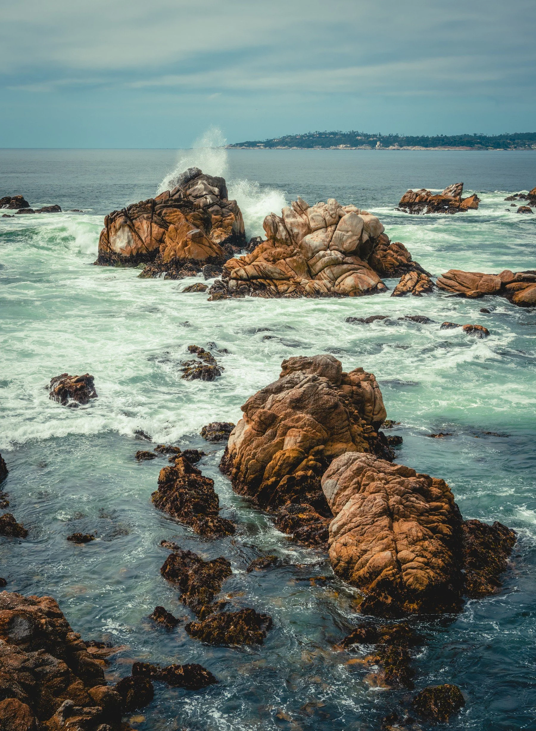 Point Lobos