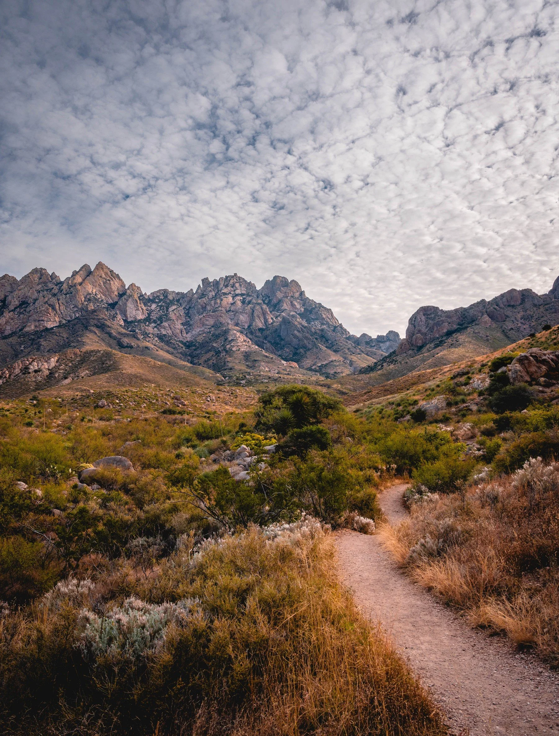 Organ Mountains