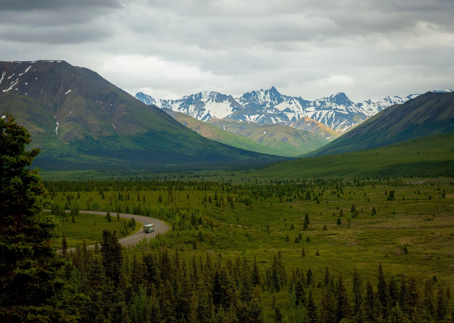Alaska_Denali_20260628_328.jpg