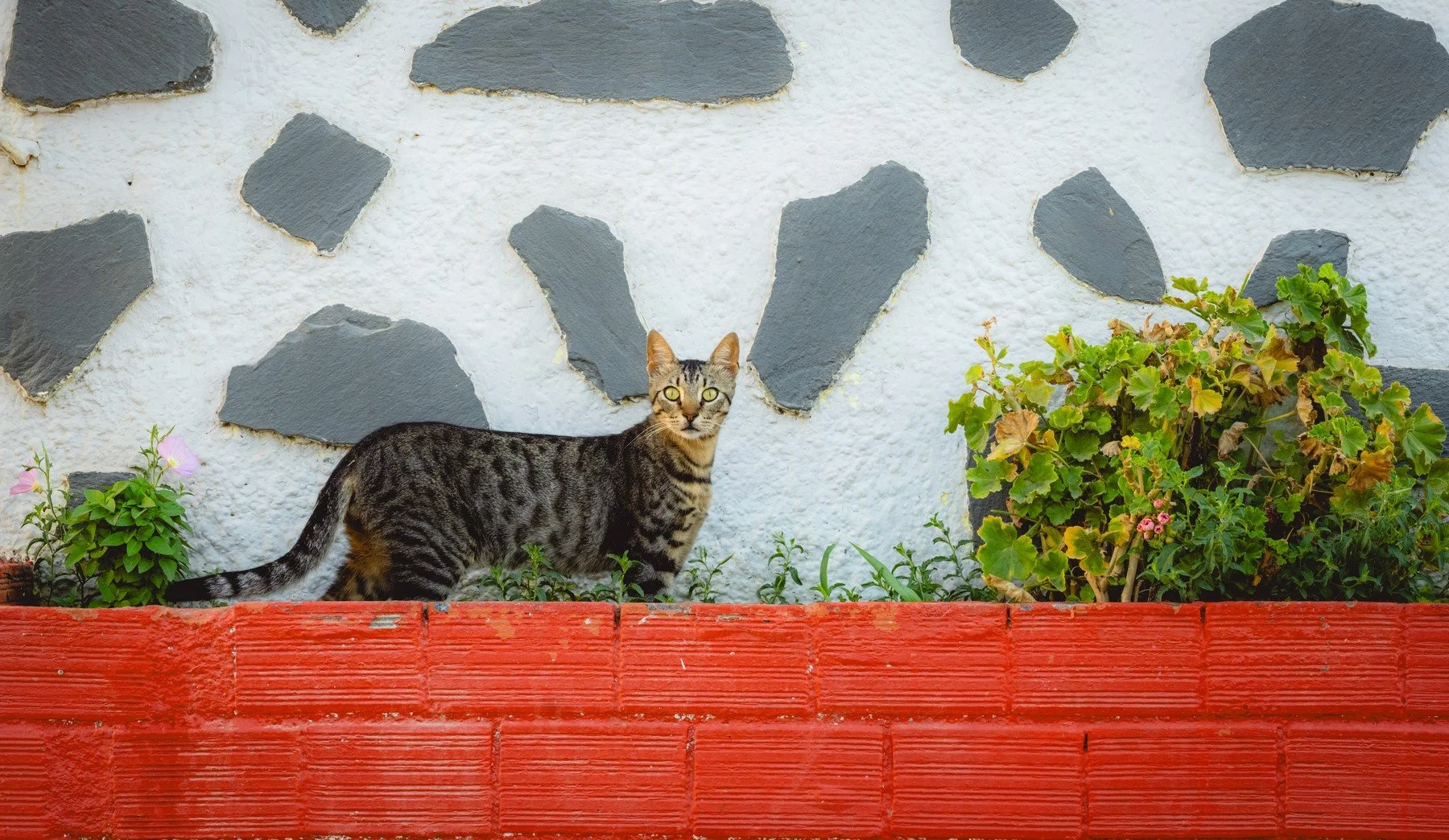 Greece_20260718_179.jpg