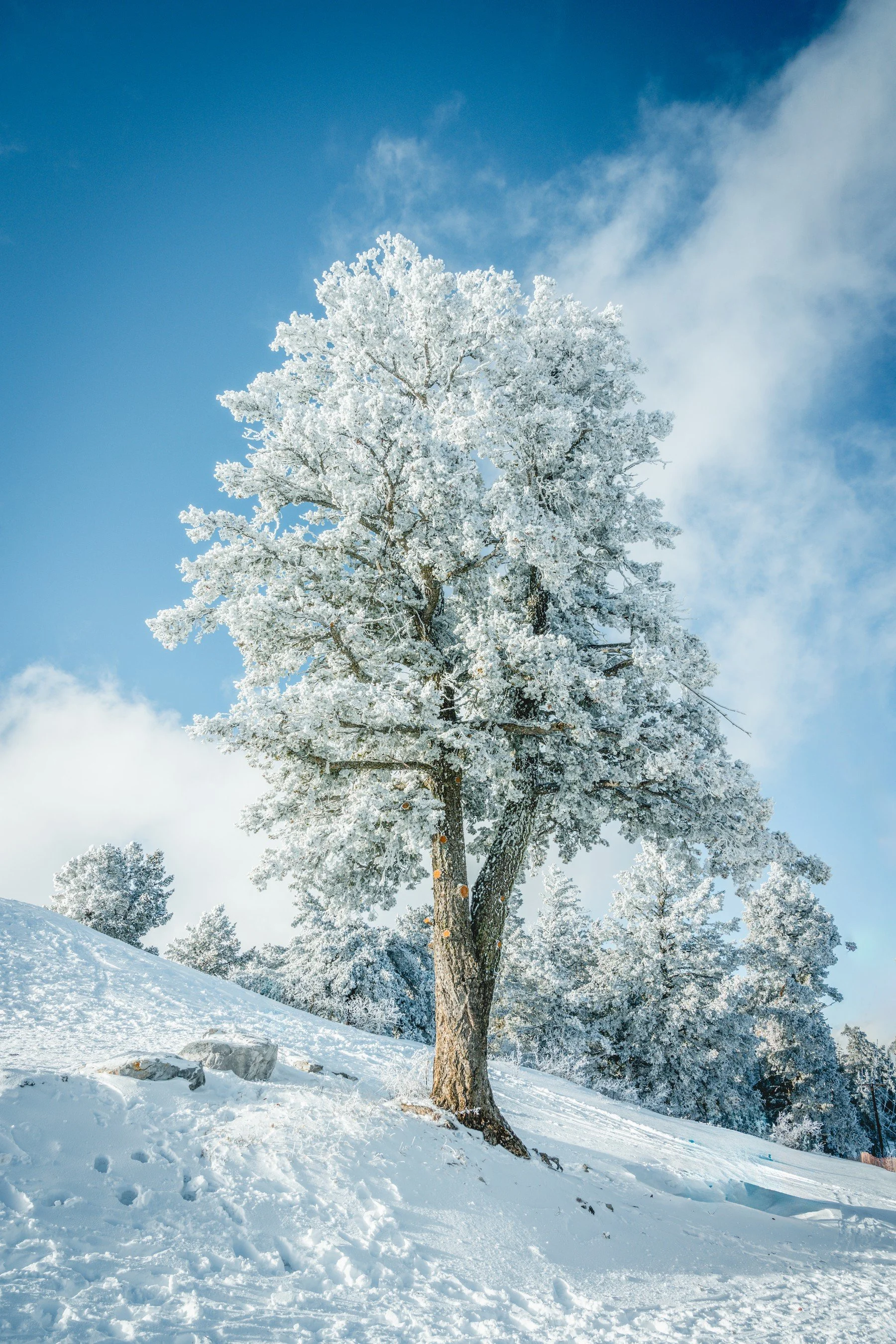 Sandia Crest