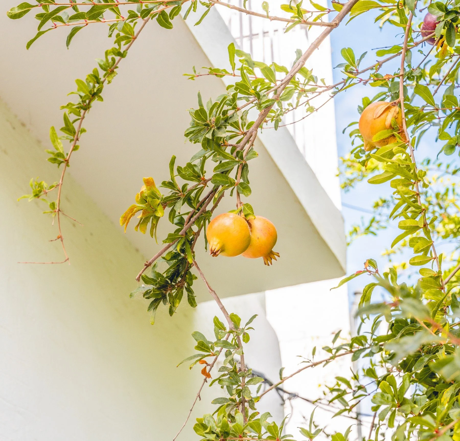 greecetrippt1_20230925_323.jpg .jpg