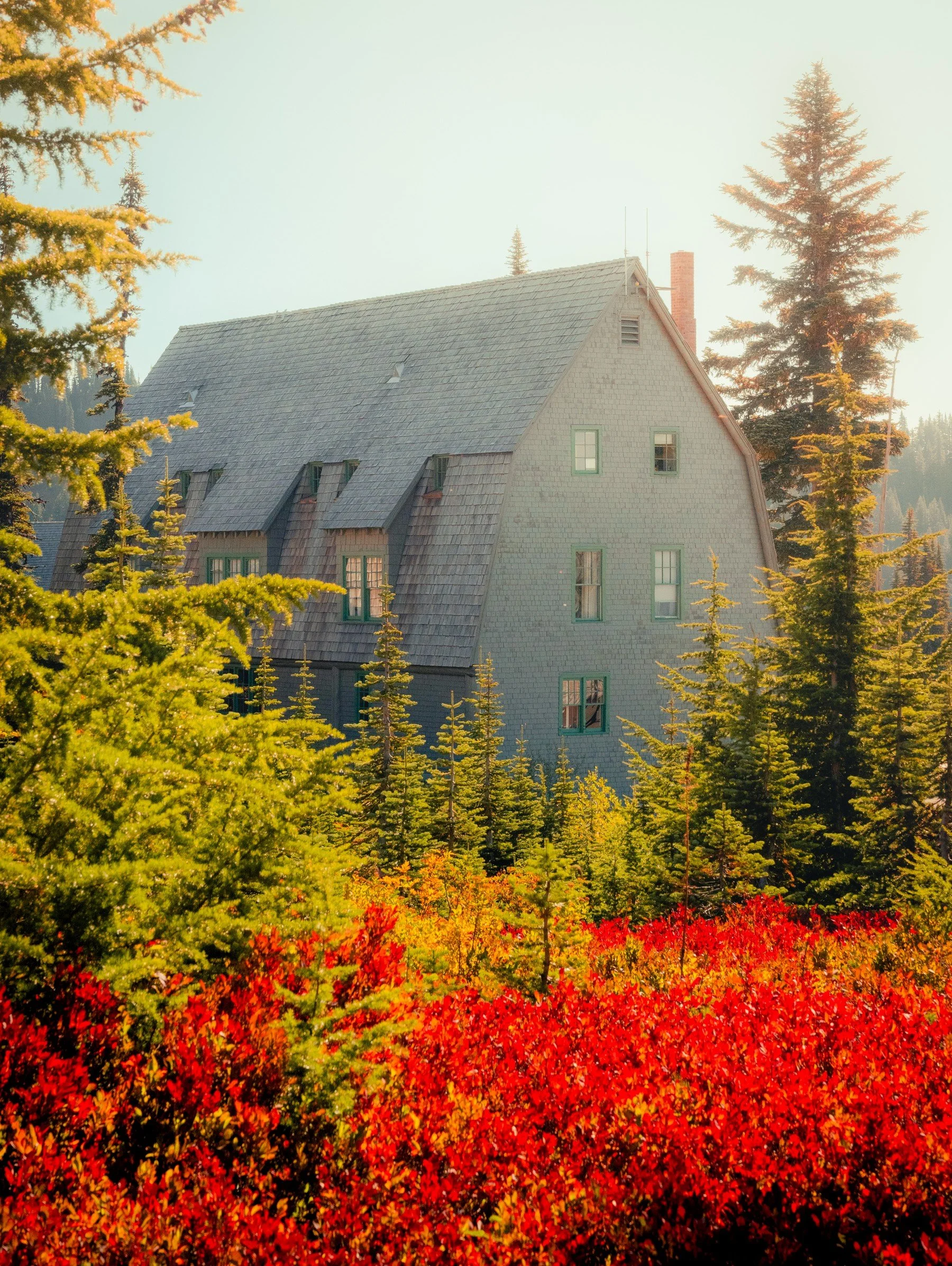 CascadesRainier_20260920_555.jpg