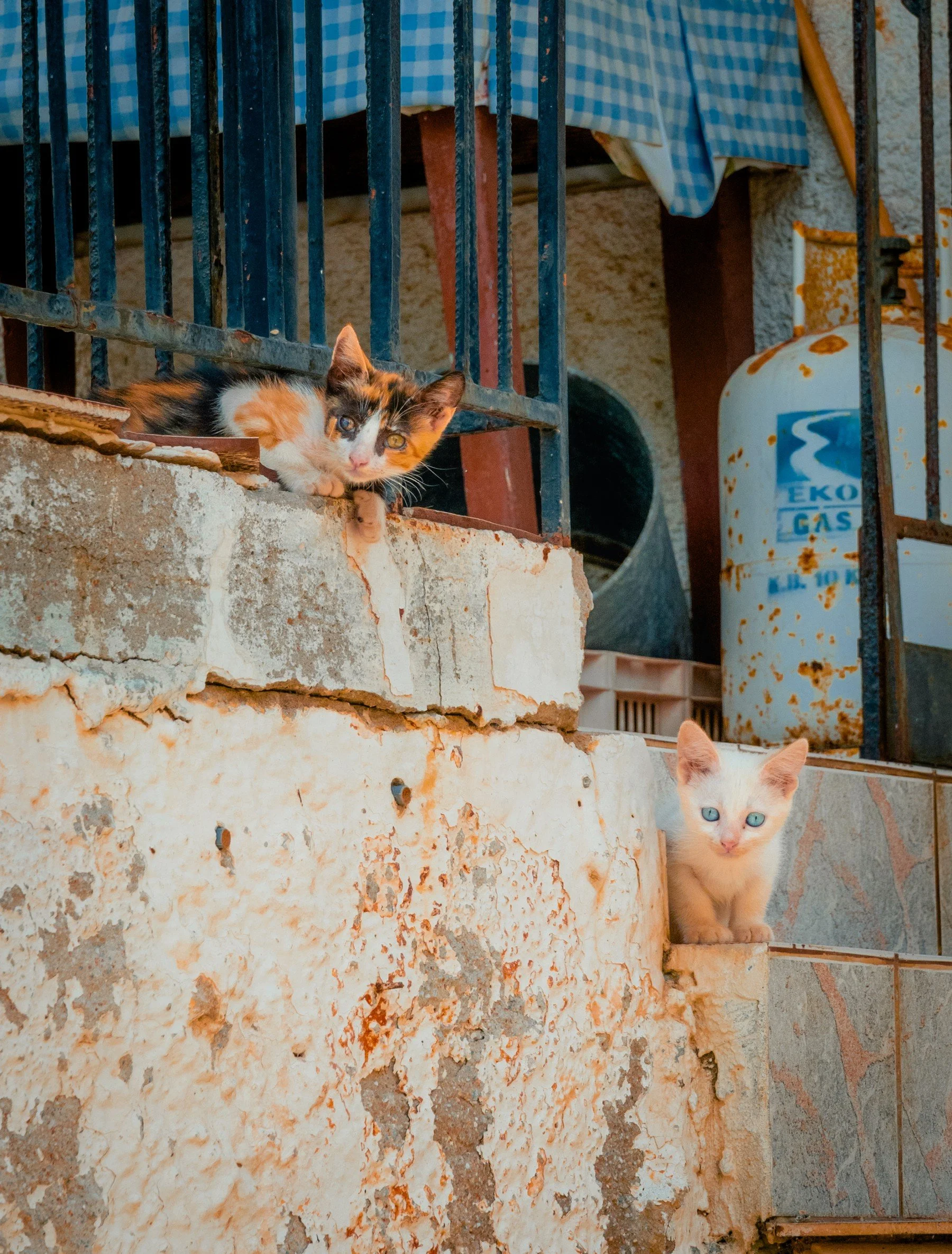 Greece_20260725_163.jpg