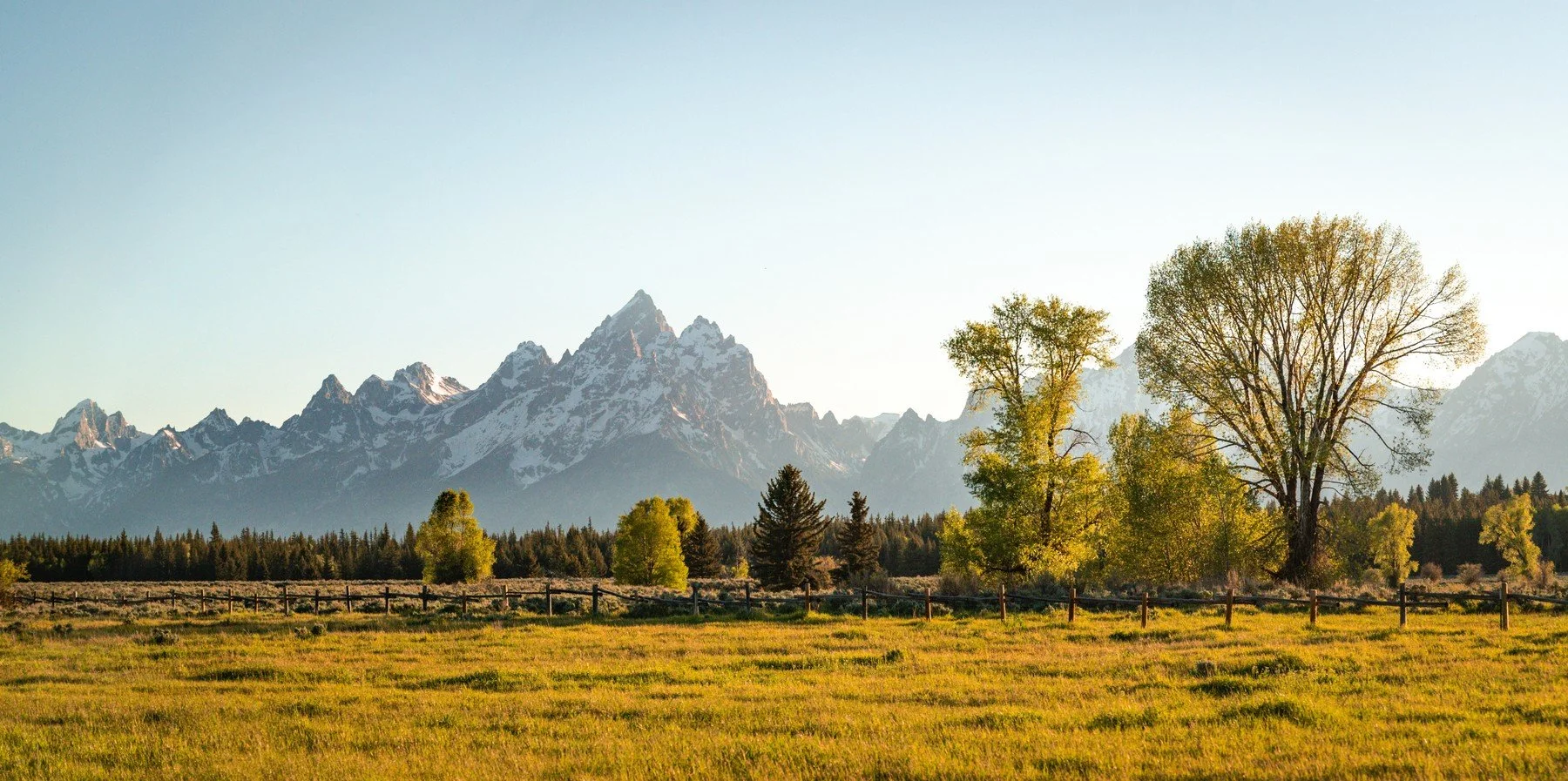 GrandTetons_20220616_136.jpg