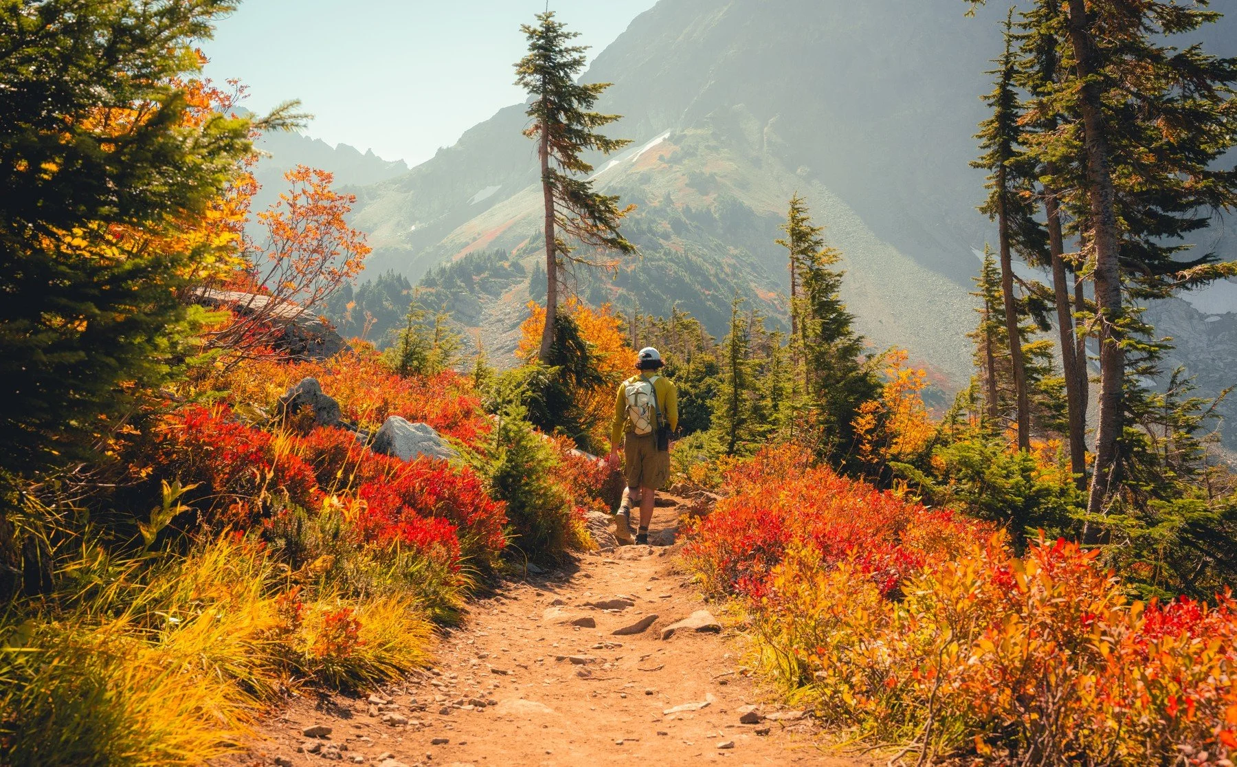 CascadesRainier_20260919_182.jpg
