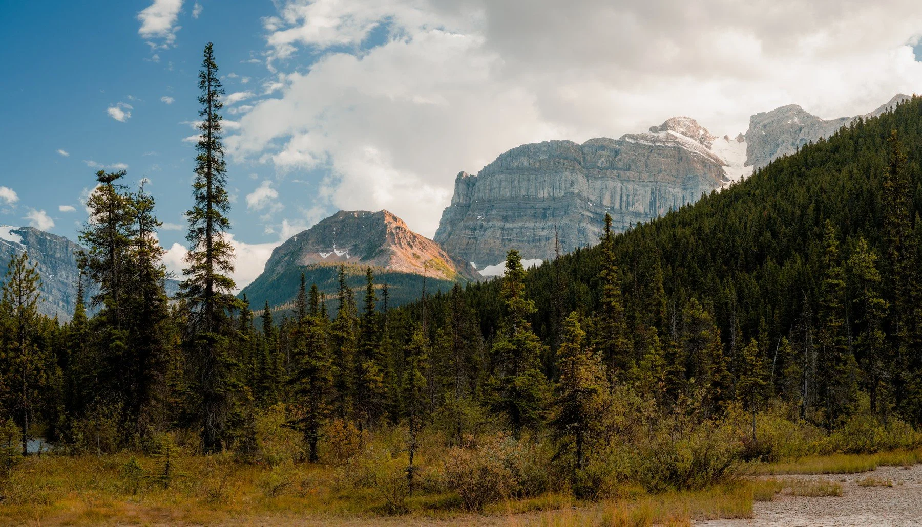Waterfowl Lake