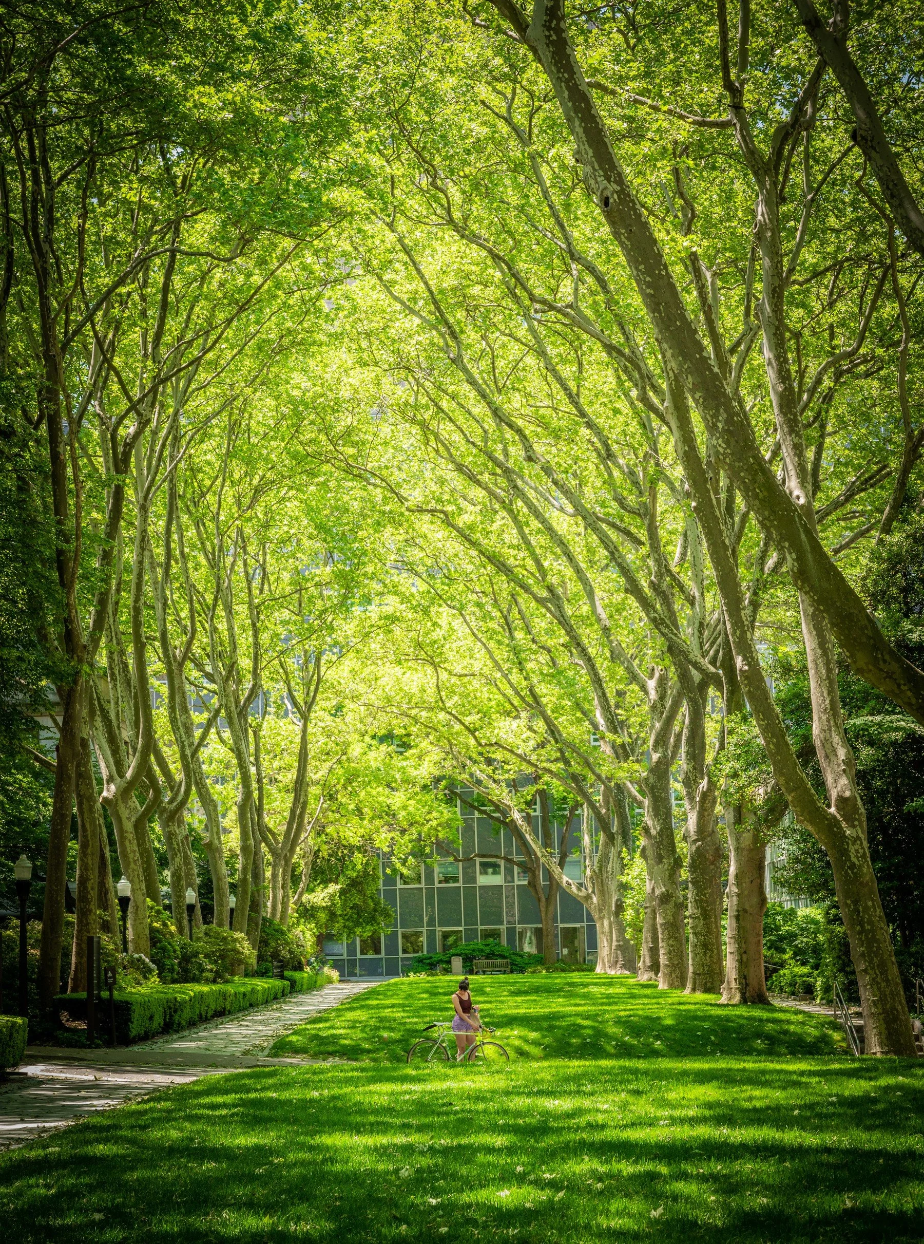 Rockefeller University