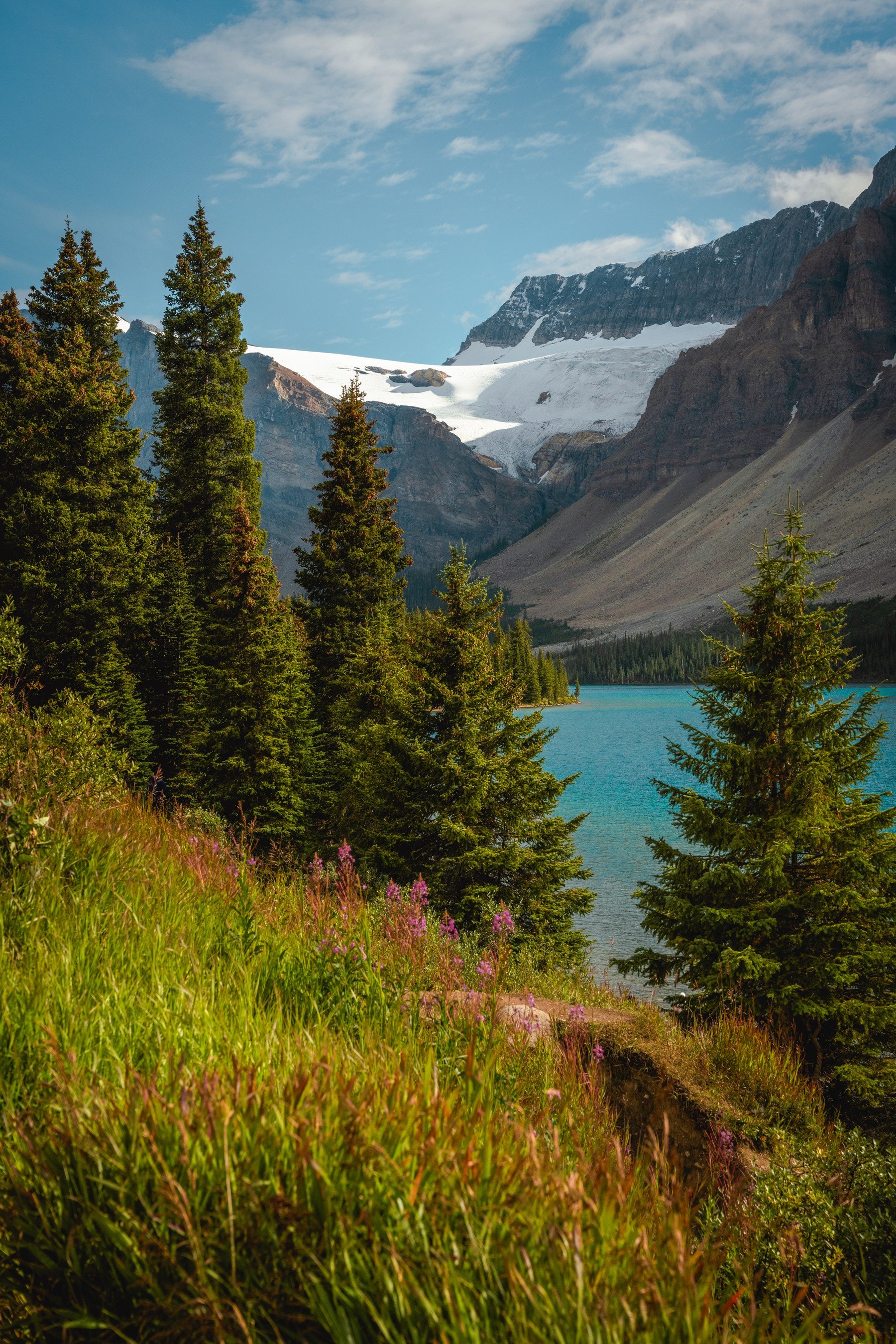 Bow Lake