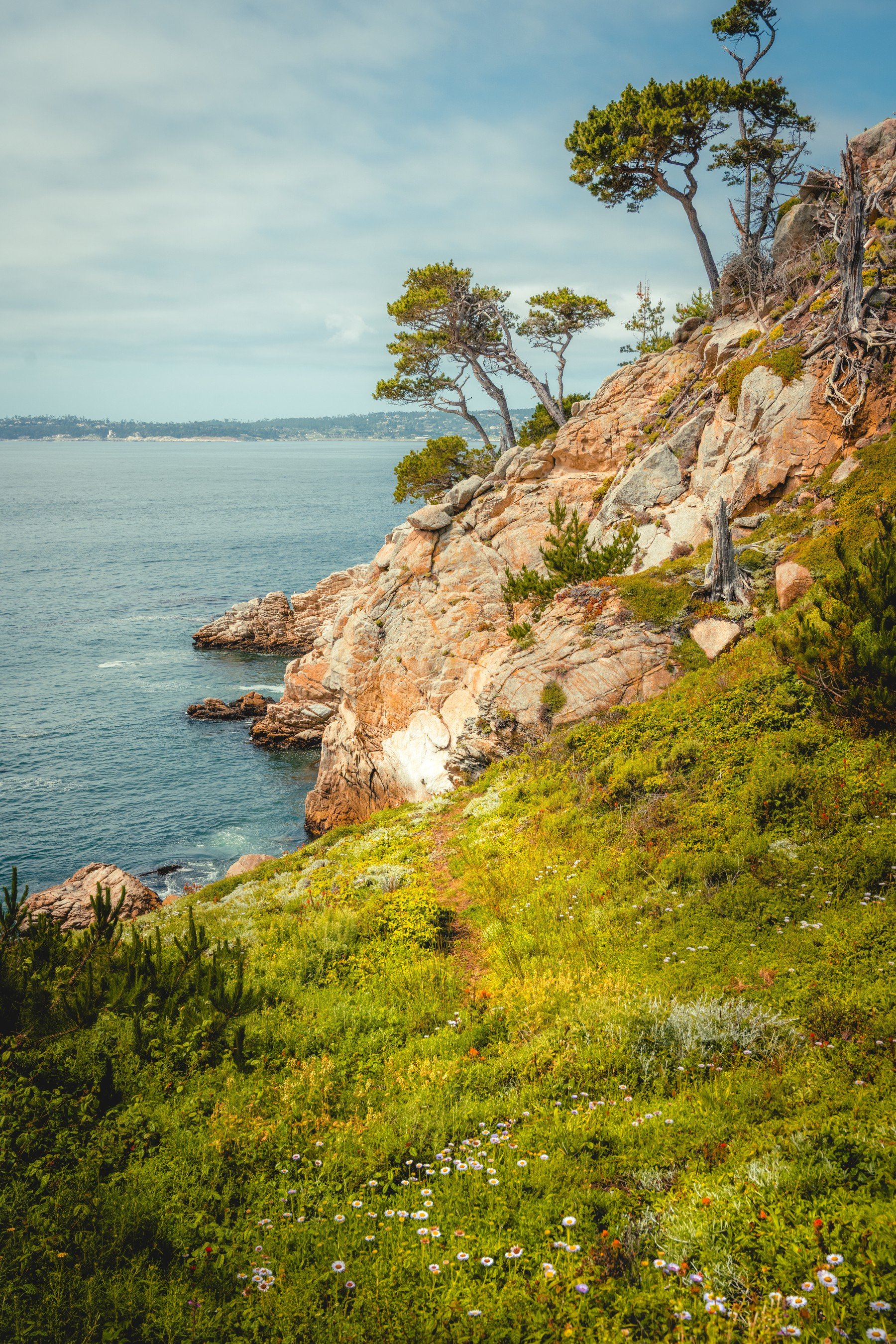 Point Lobos