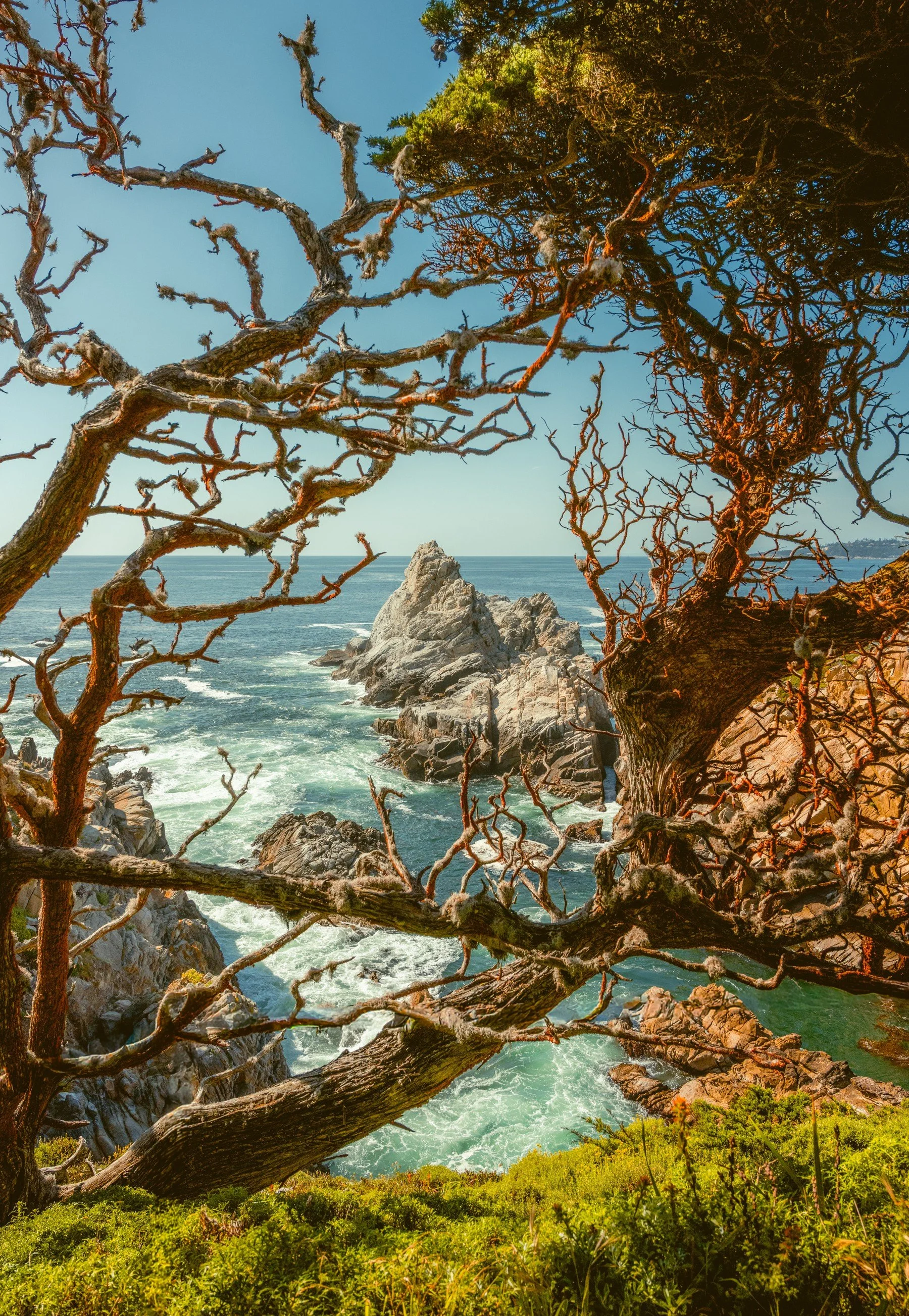 Point Lobos