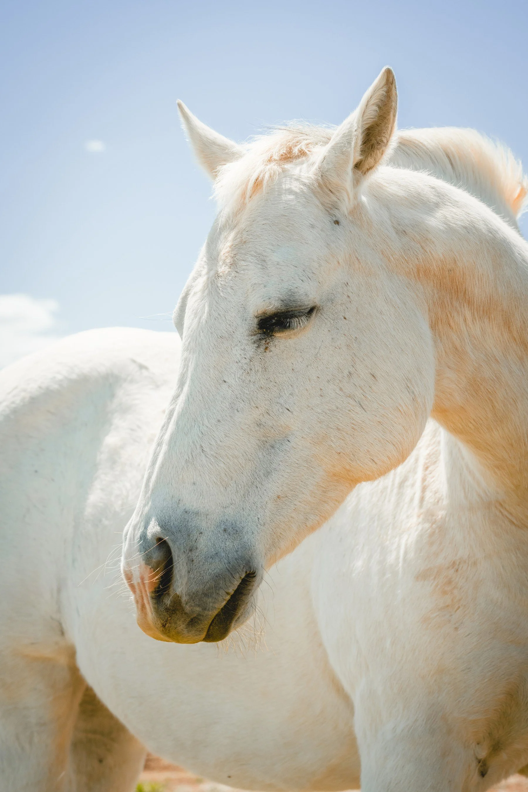 BryceCanyon_20240502_056 2.jpg