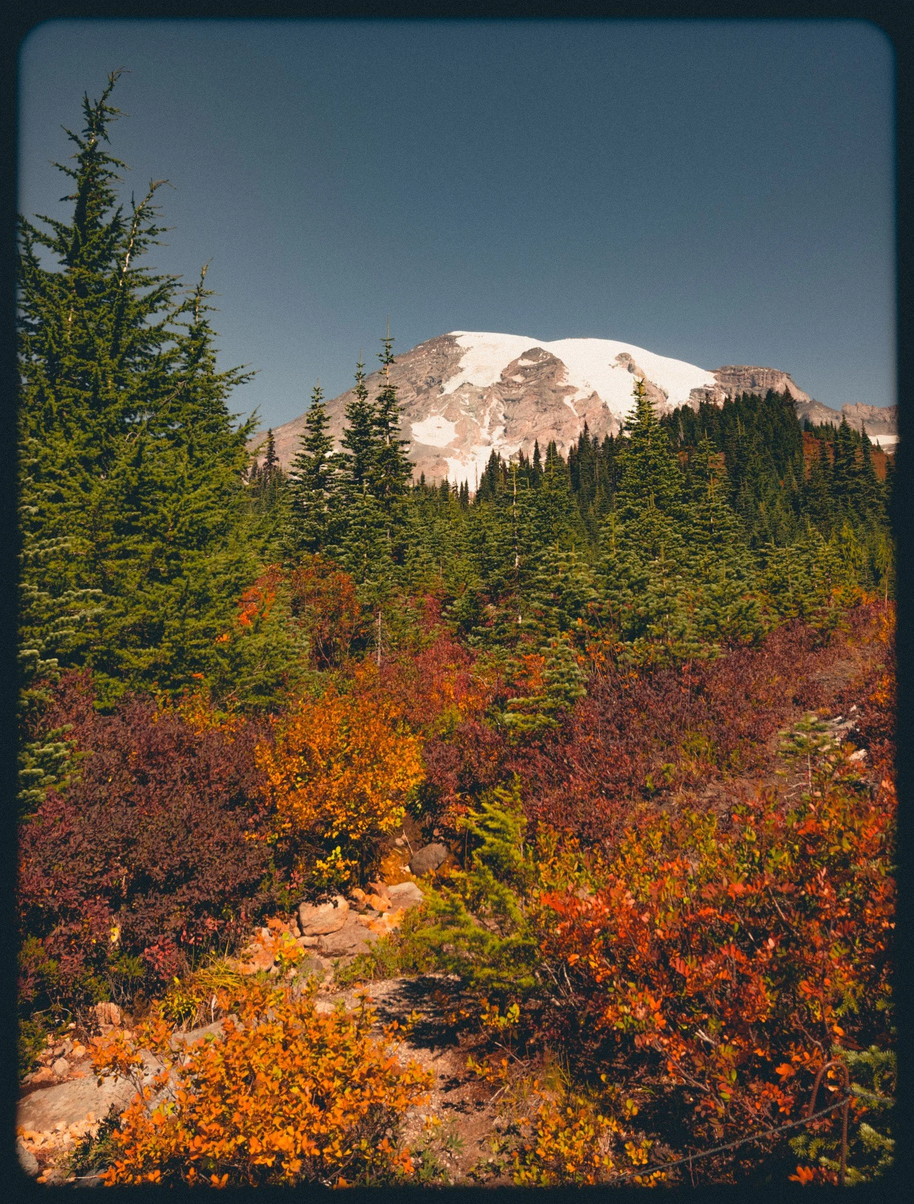CascadesRainier_20260920_561.jpg