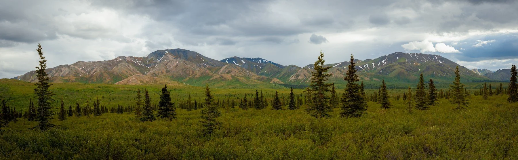 Alaska_Denali_20260628_136-Pano.jpg