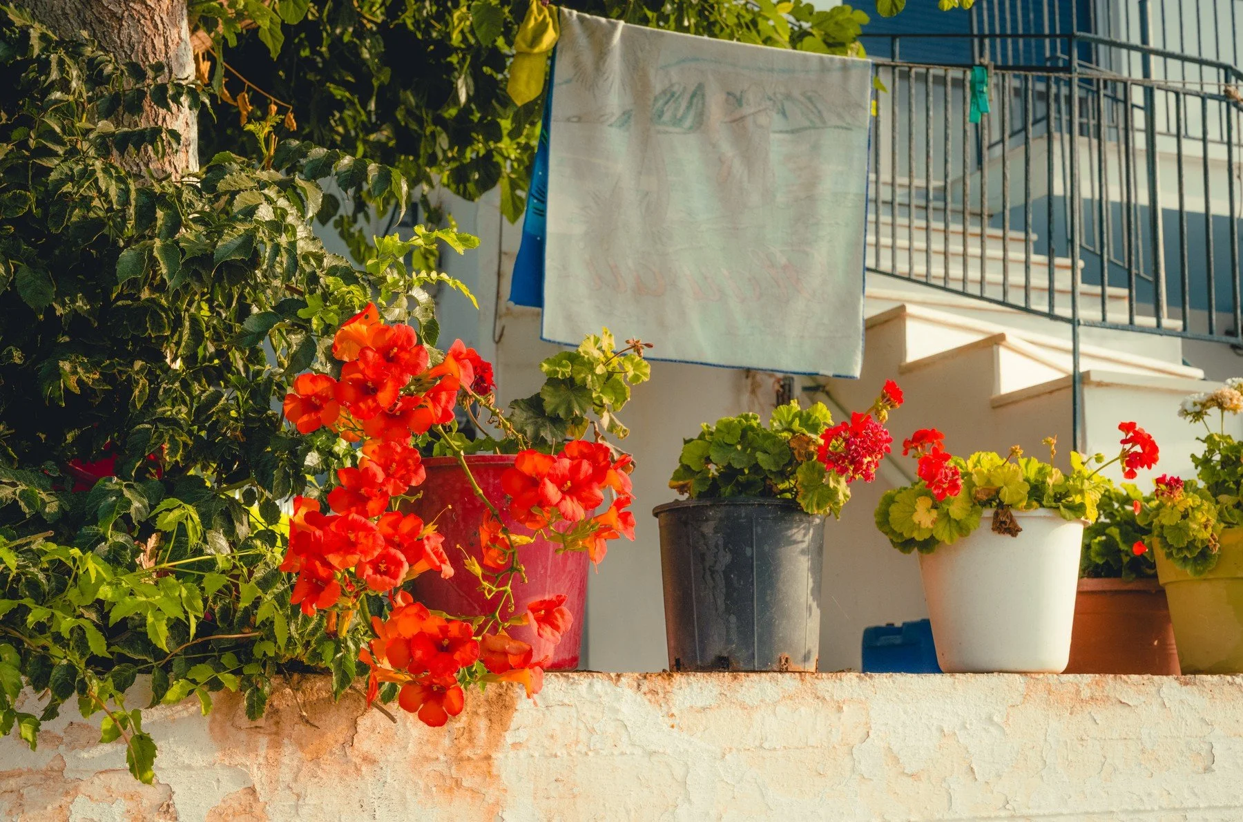Greece_20260721_230.jpg