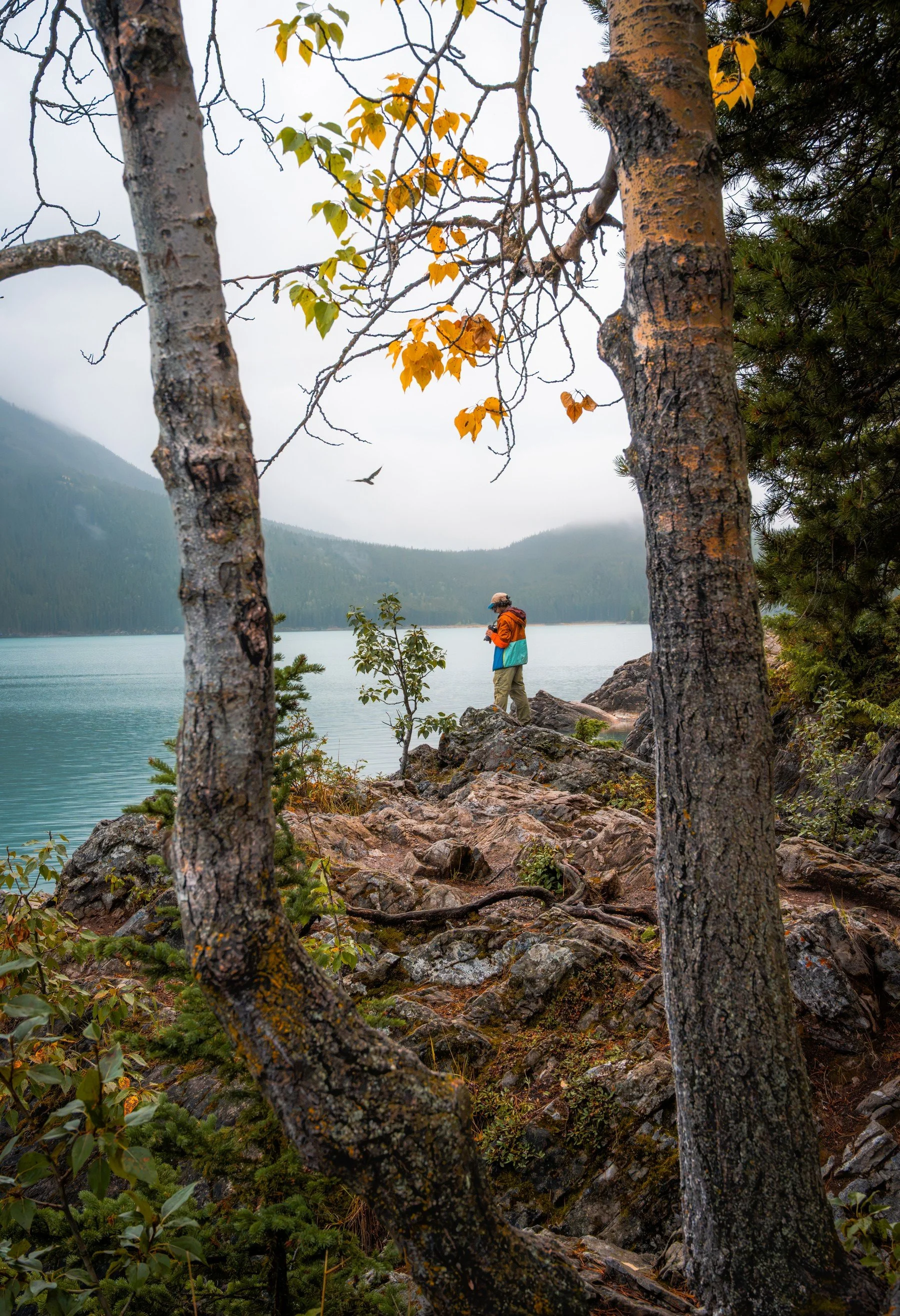 Lake Minnewanka