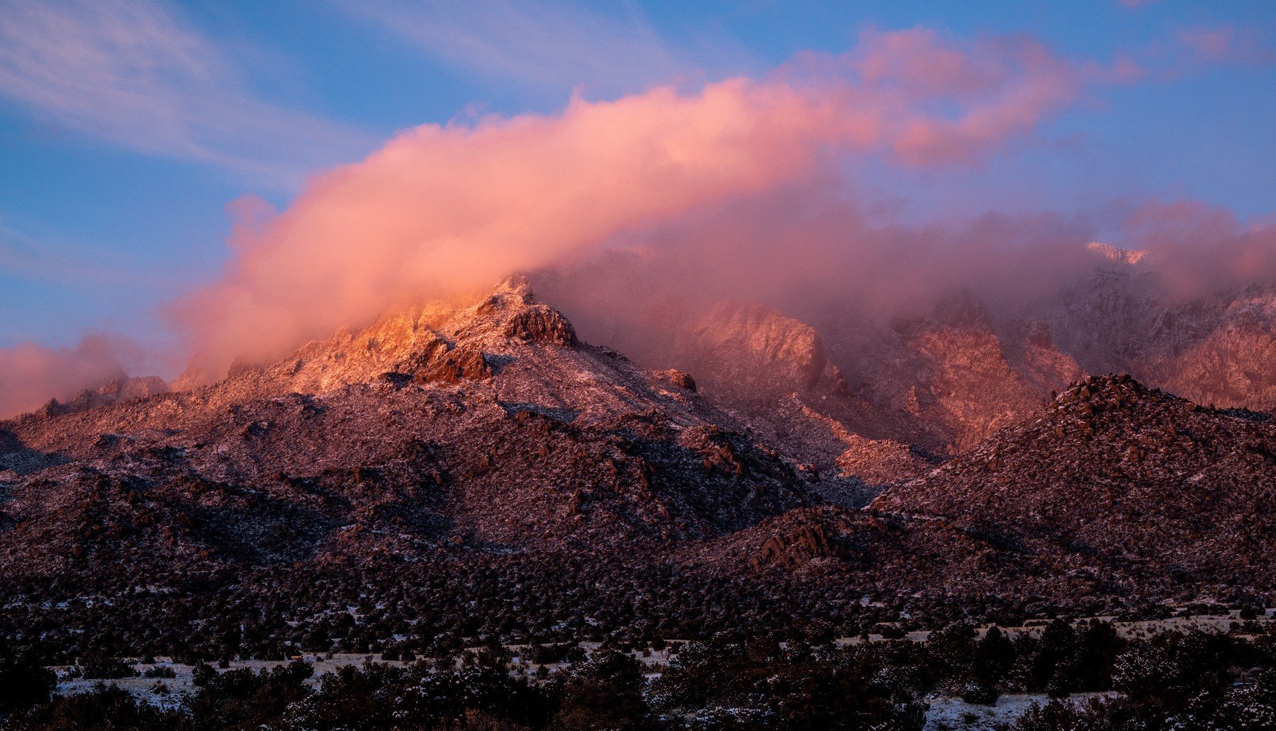 Elena Gallegos Open Space