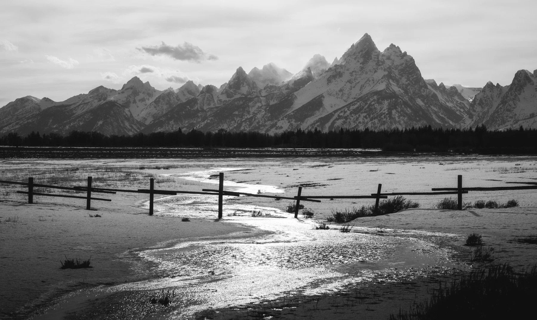 Tetons_20260309_1228.jpg