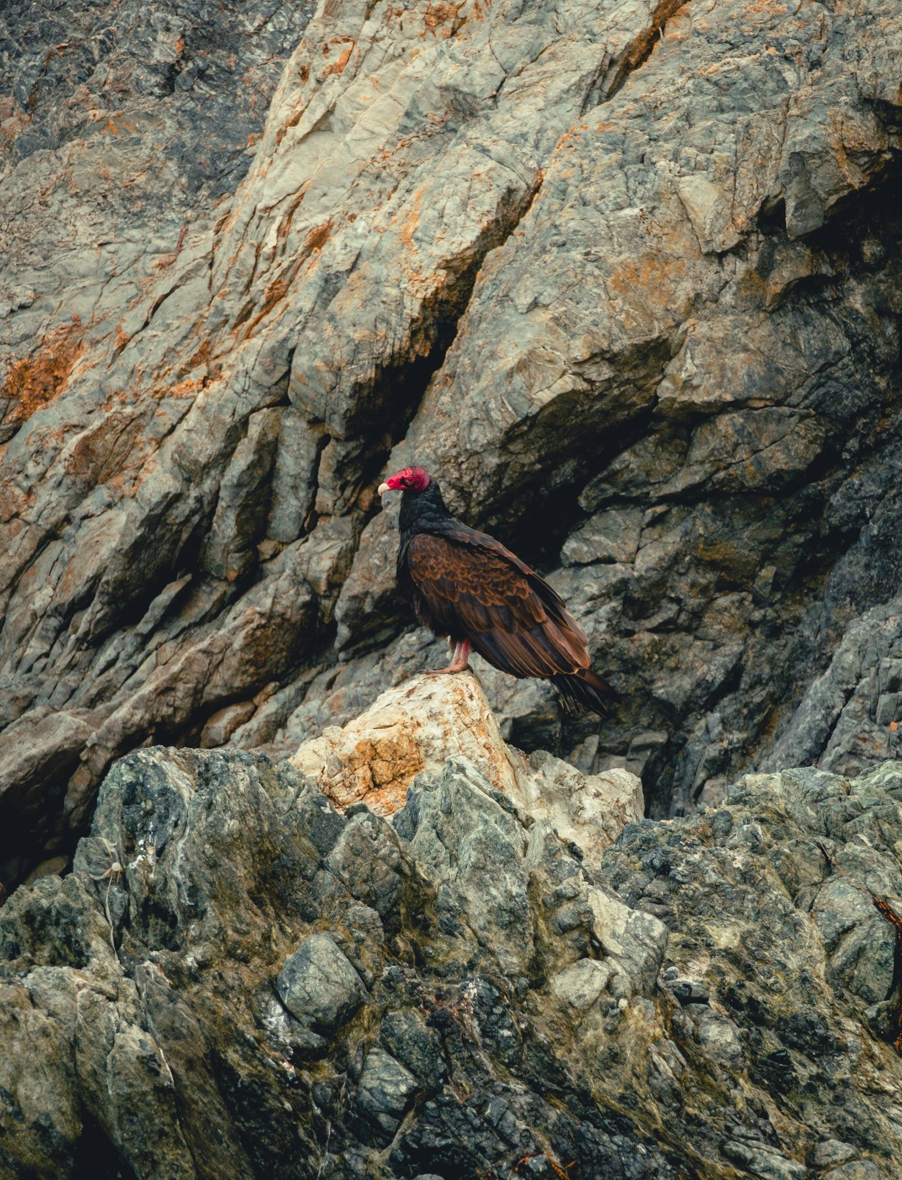 Monterey_20260526_243.jpg