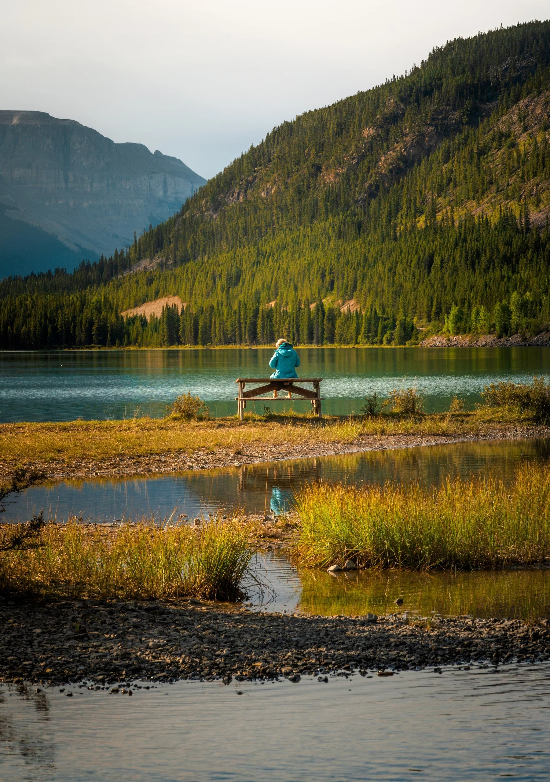 Waterfowl Lake