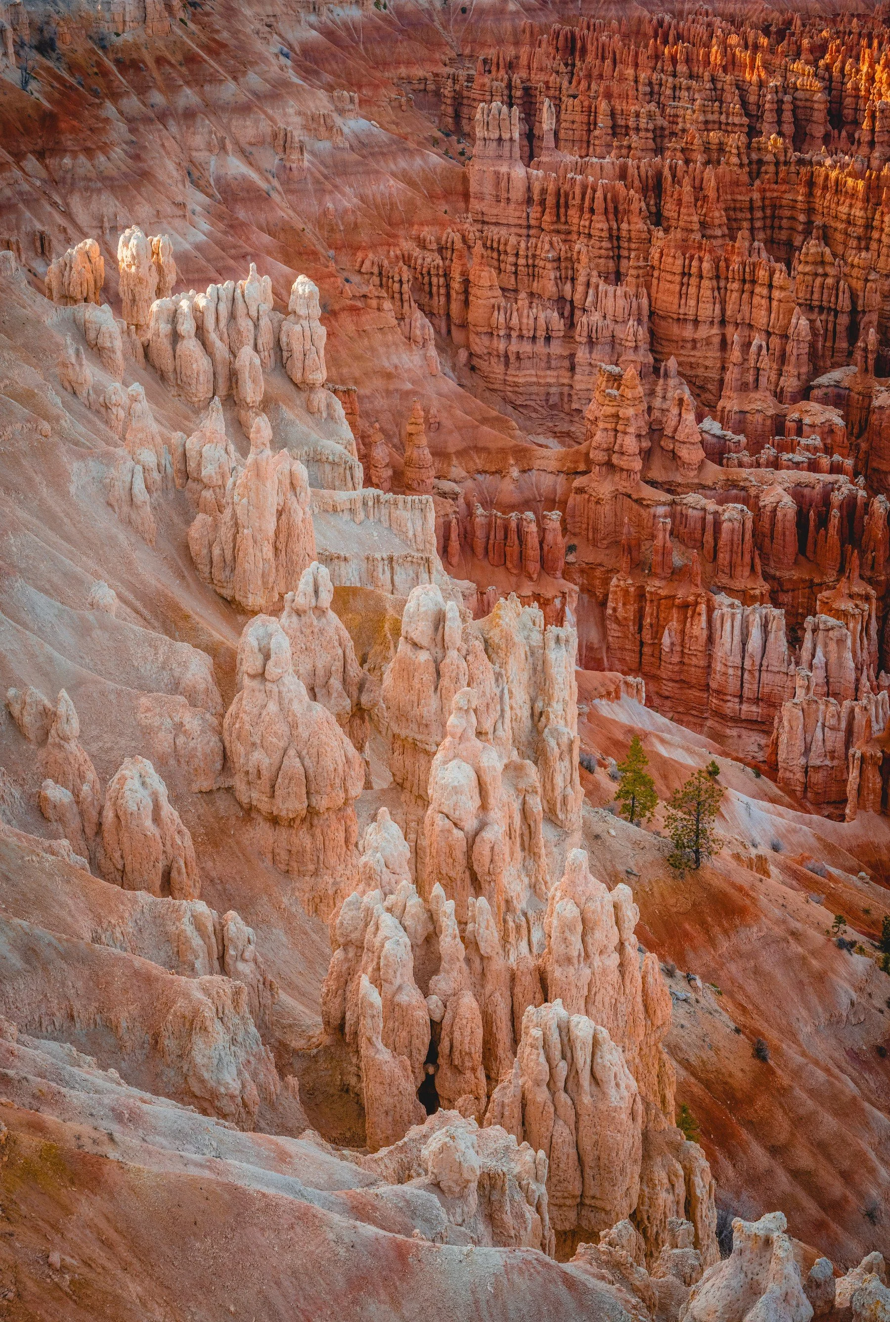 BryceCanyon_20240502_488.jpg