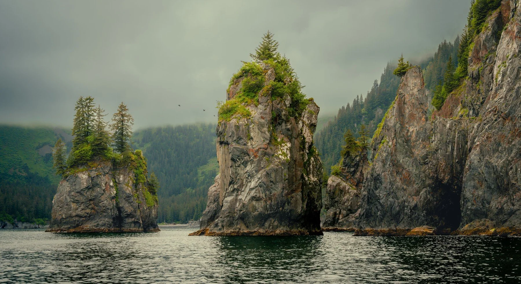 Kenai Fjords