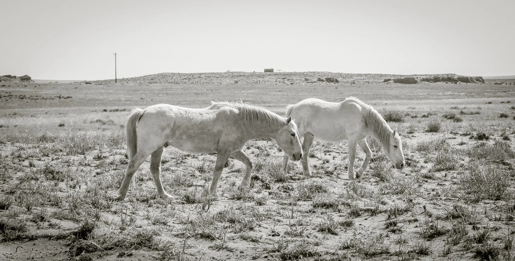 Bisti De-Na-Zin Wilderness