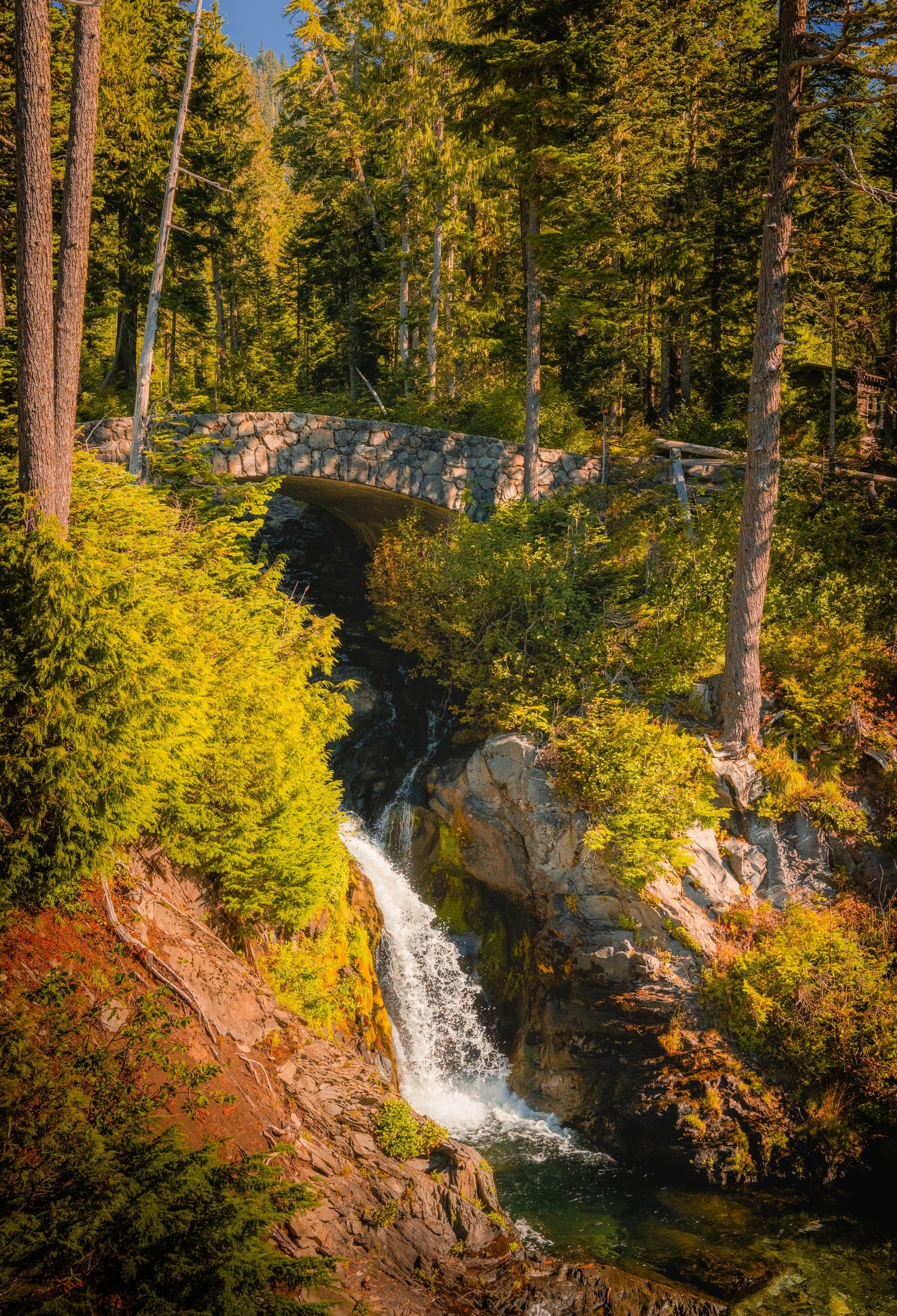 CascadesRainier_20260920_522.jpg
