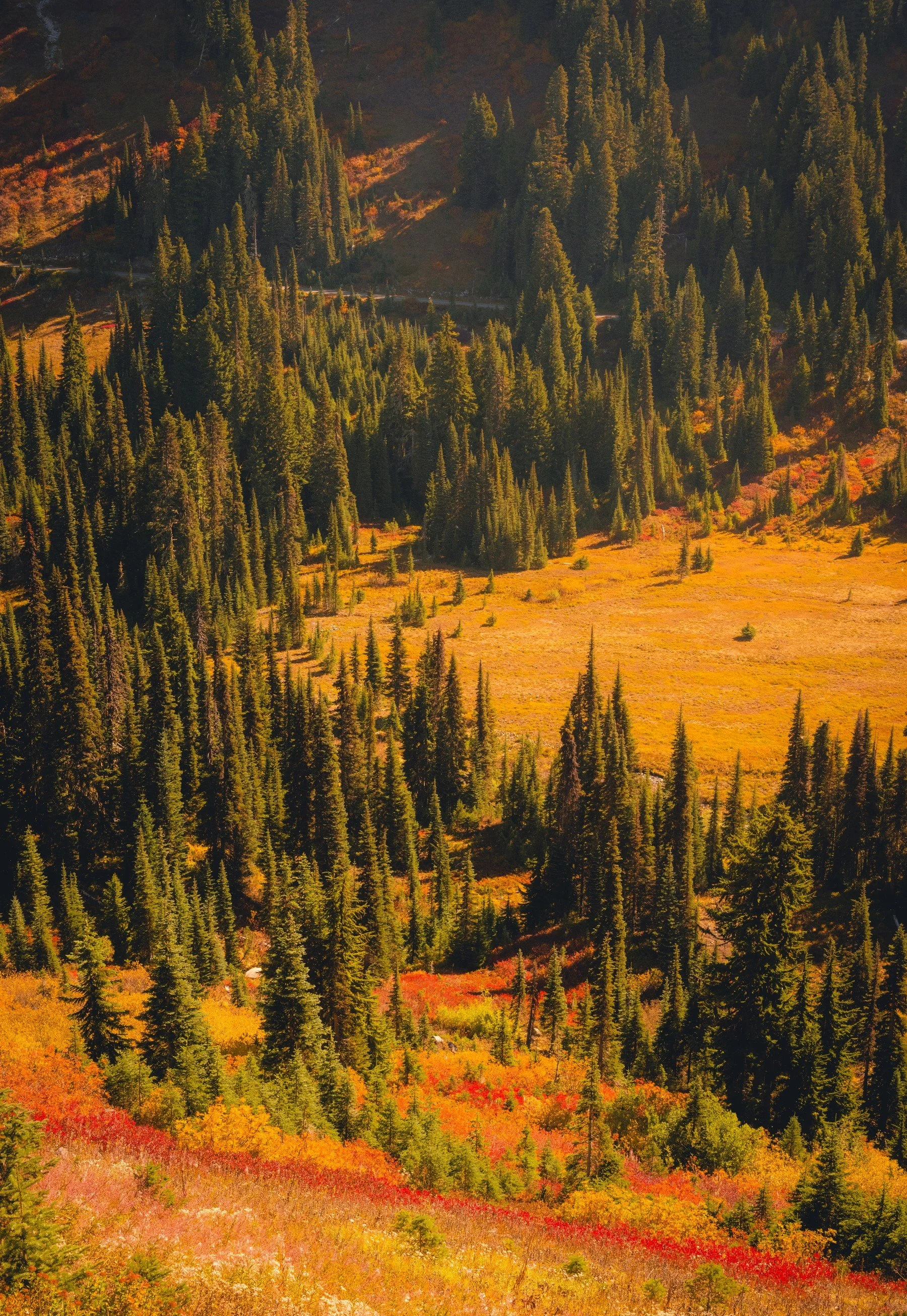 CascadesRainier_20260920_534.jpg