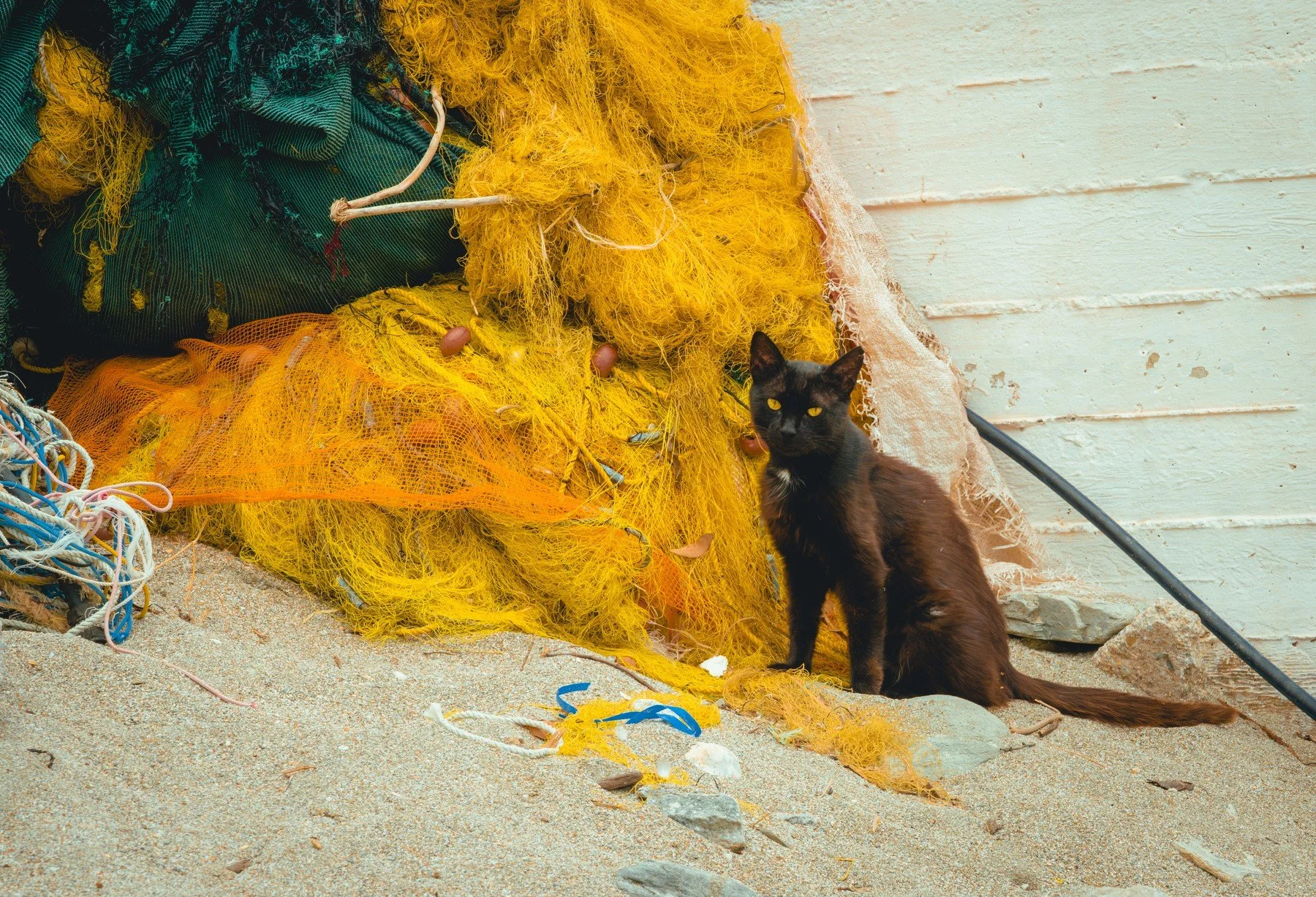 Greece_20260724_127.jpg