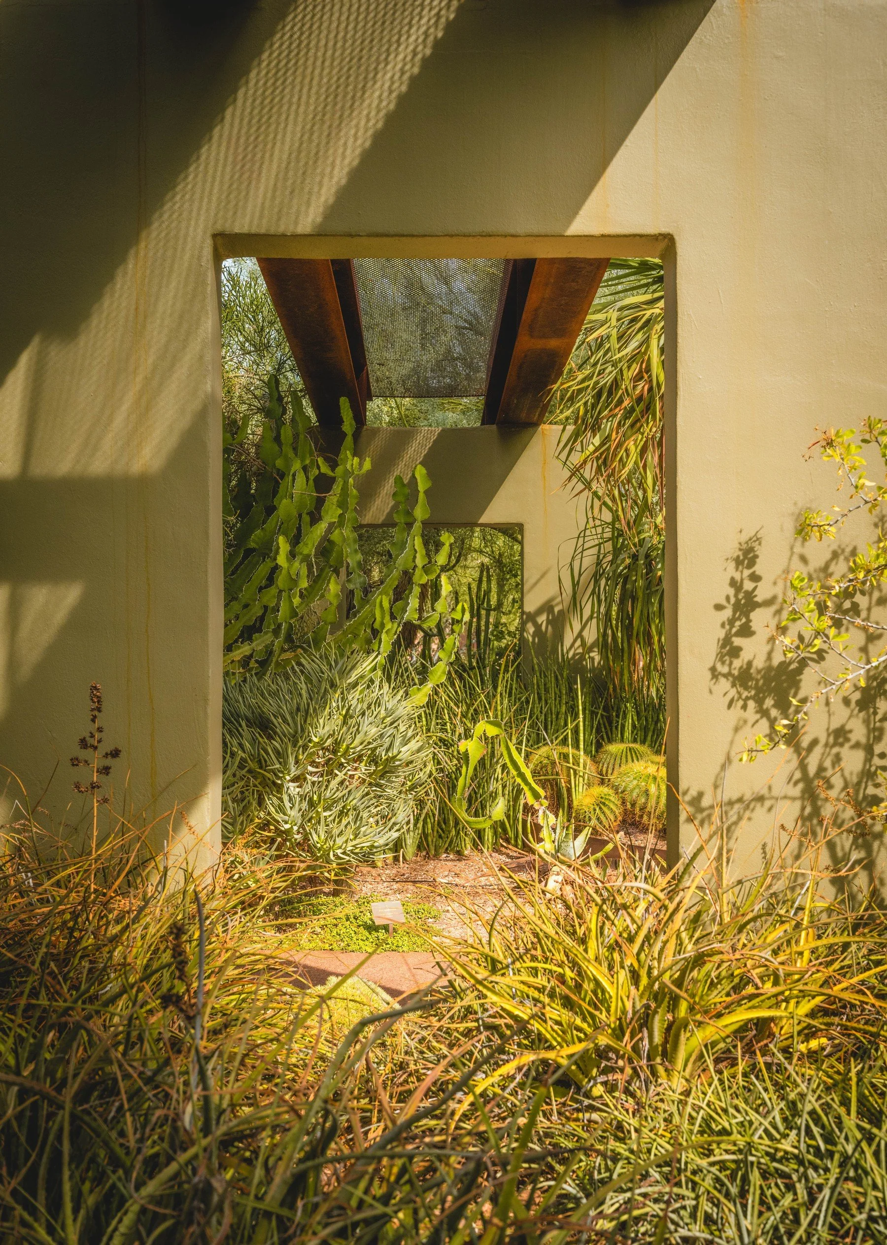 Phoenix Botanic Garden