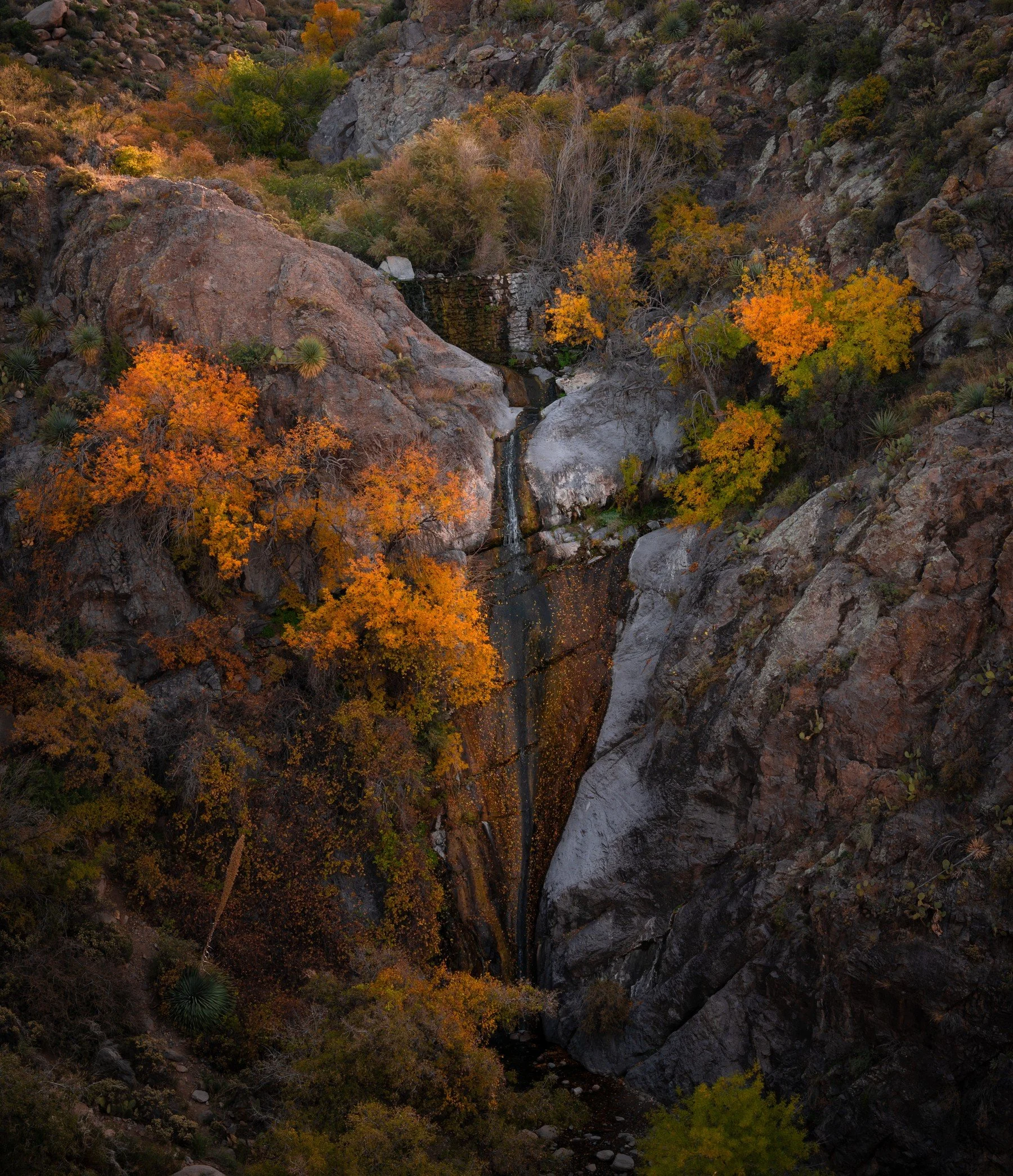 Organ Mountains
