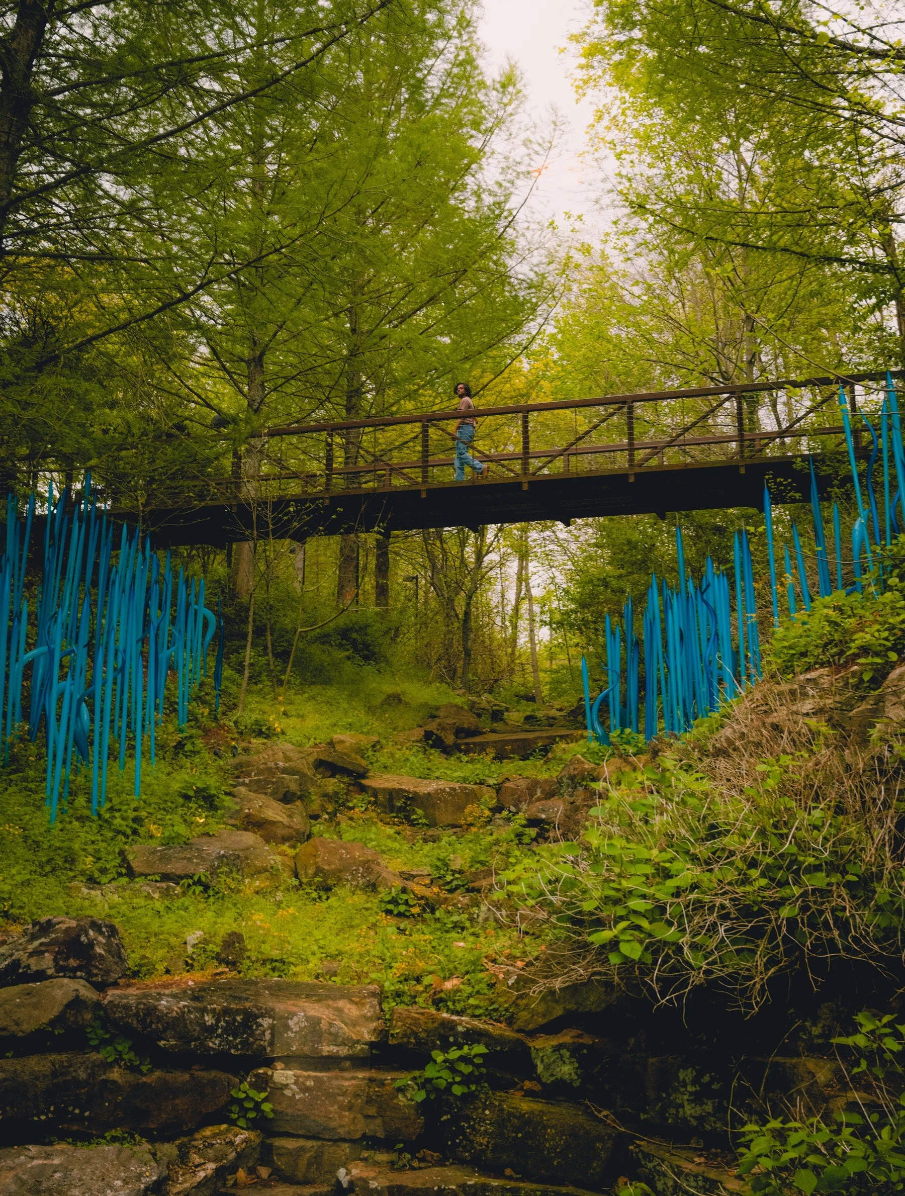 Crystal Bridges, Bentonville