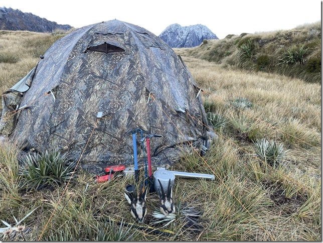 2021 May - Tahr Hunt - Southern Alps NZ_3.jpg