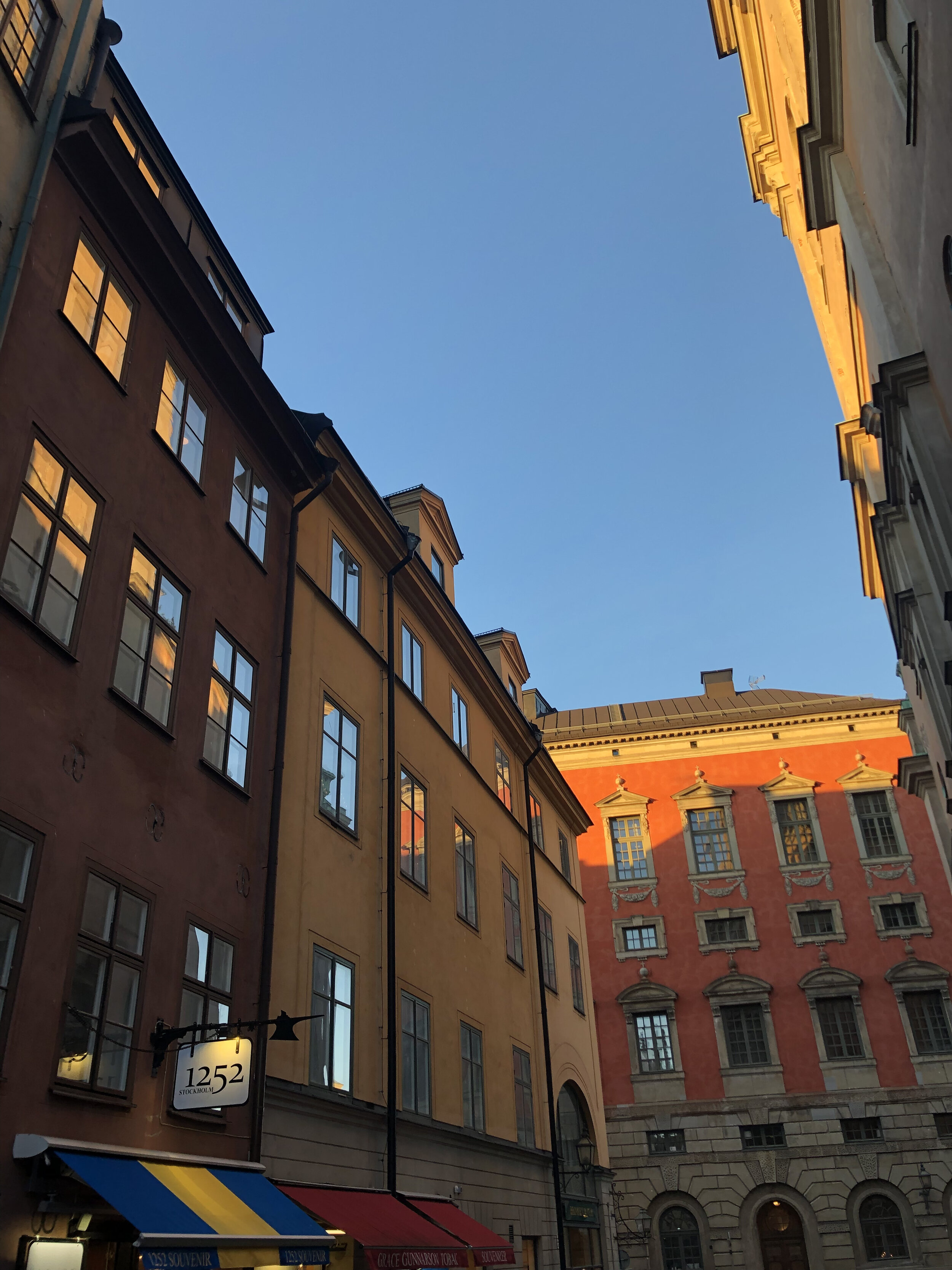 IMG_6704.jpeg