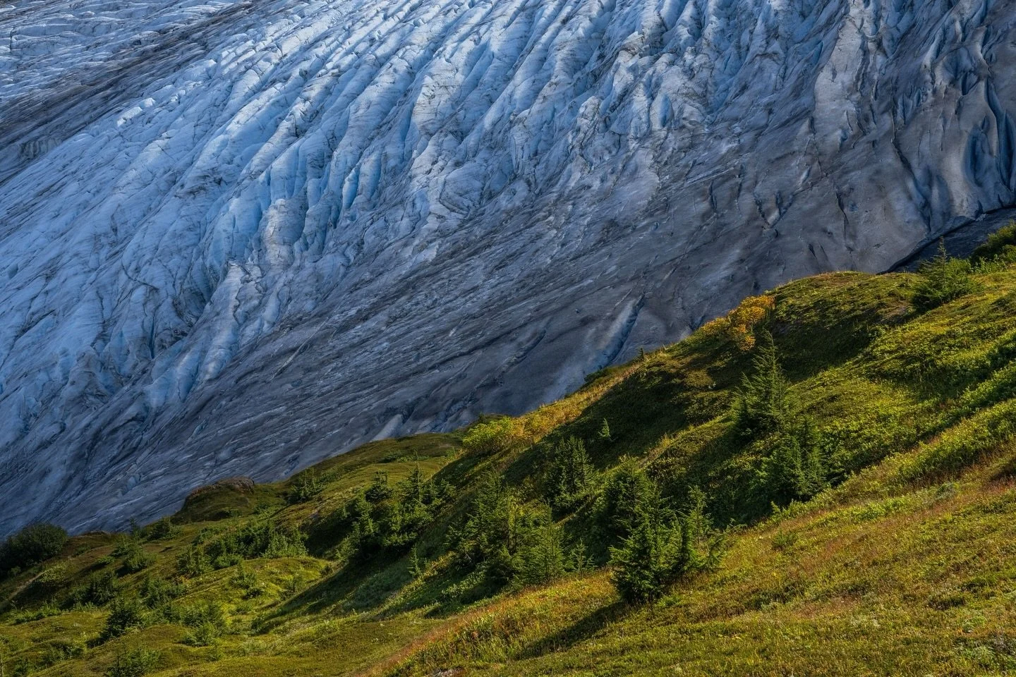 Some of my favorite landscape photos lack a horizon line and instead focus on a specific scene within the larger landscape. I&rsquo;m curious how others feel about these photos and if they instead prefer wide angle landscape images that include some 