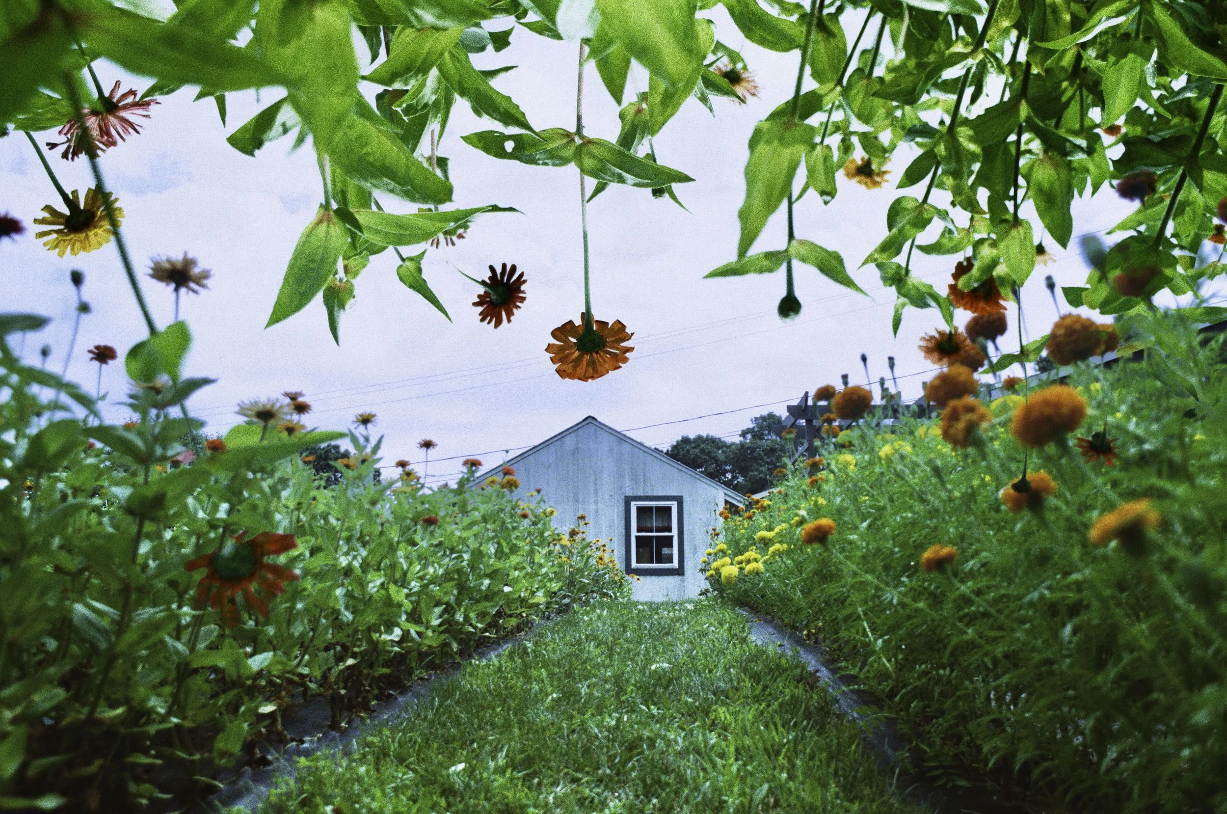 A place far away 2.JPG