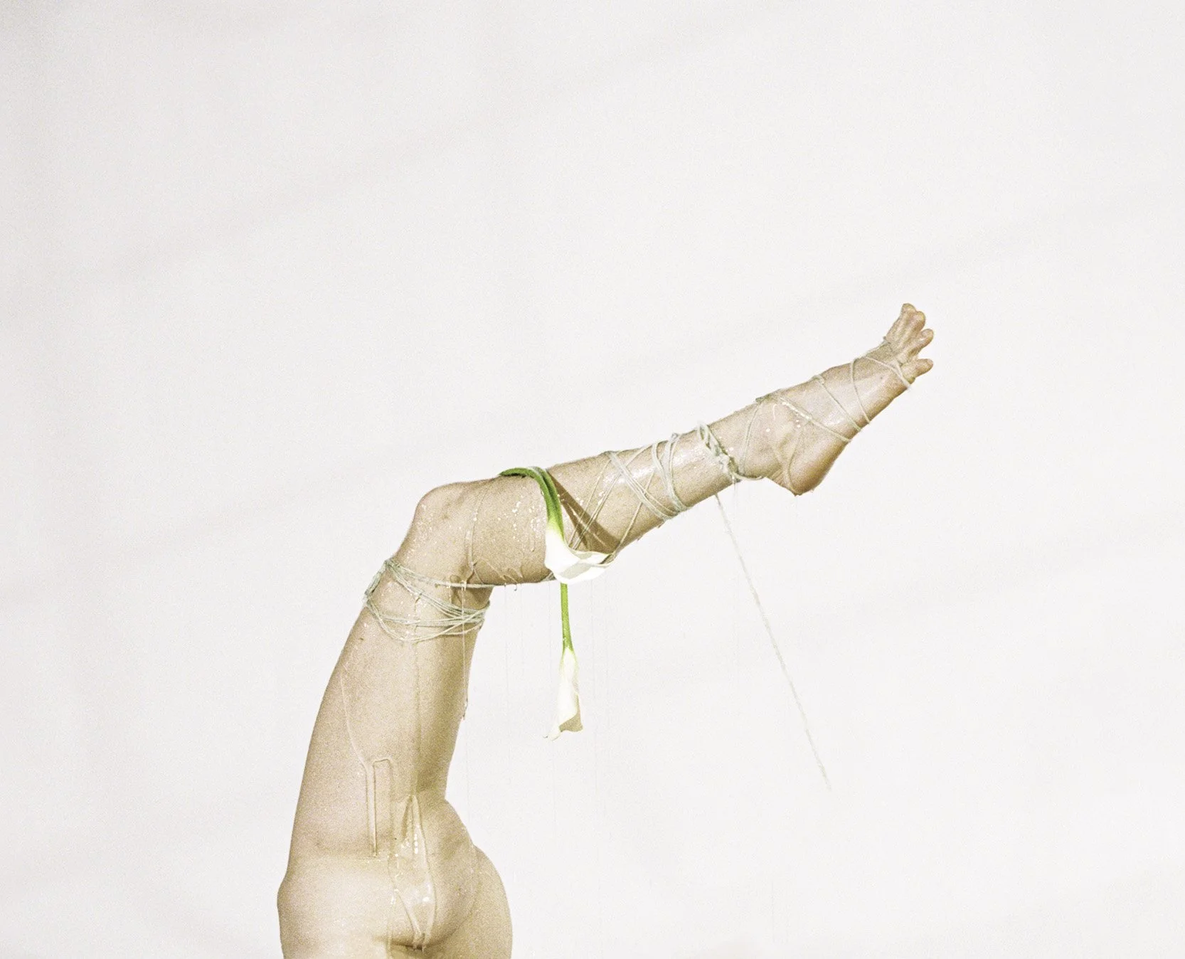 KYLI485-005-Edit copy.JPG