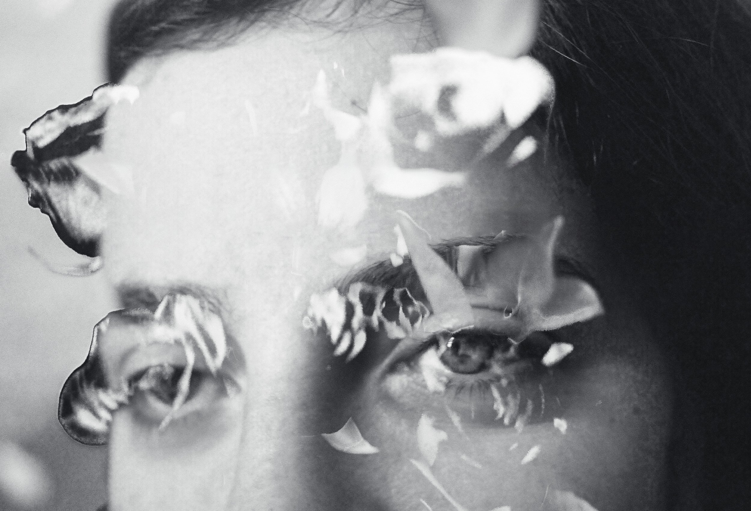 000000070005-Edit copy.JPG