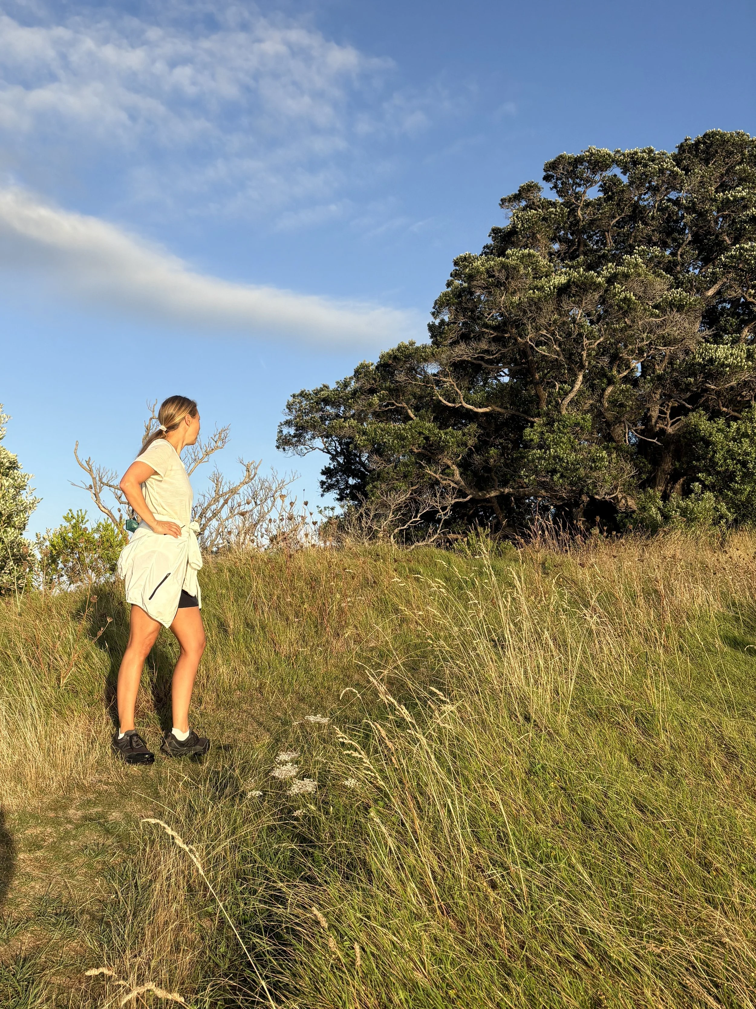 Things to Do on Waiheke Island (if you don’t like wine!)