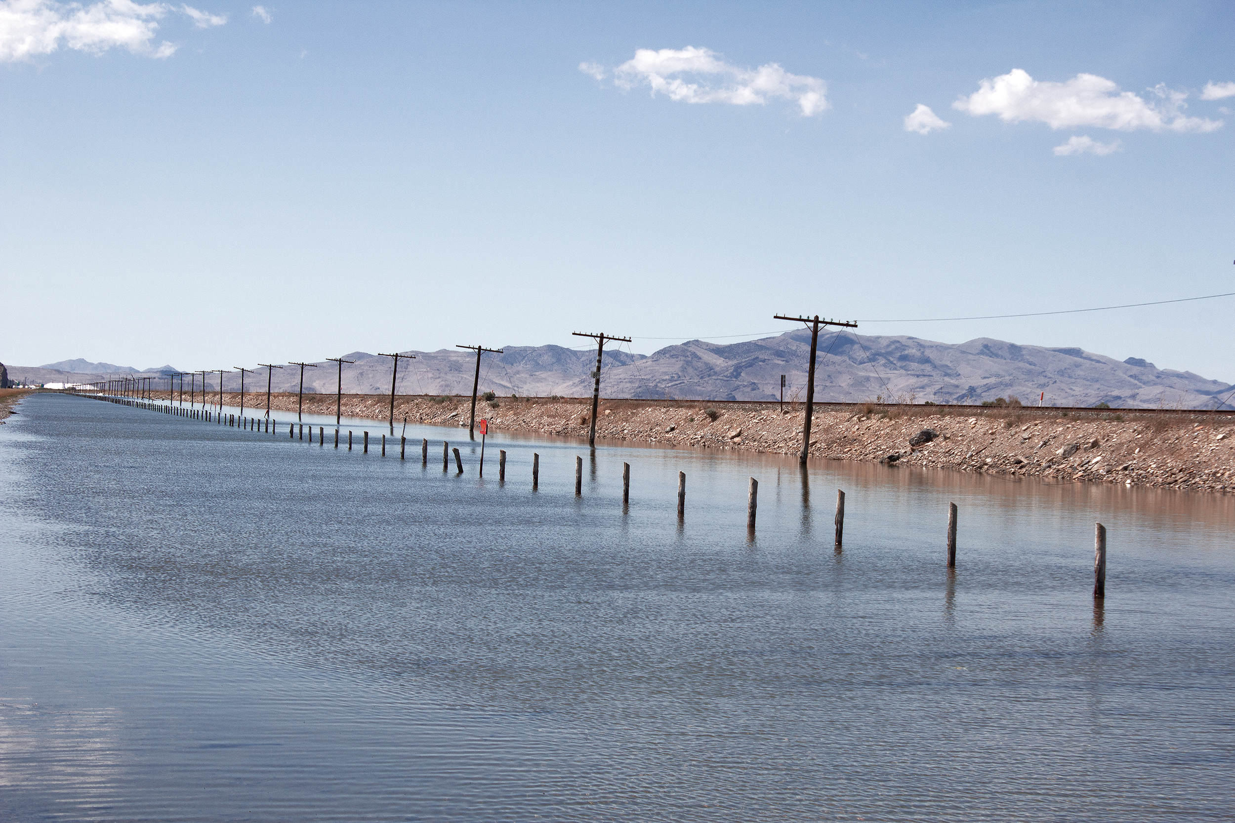 IMG_2684 1 JAVI squarespace.png