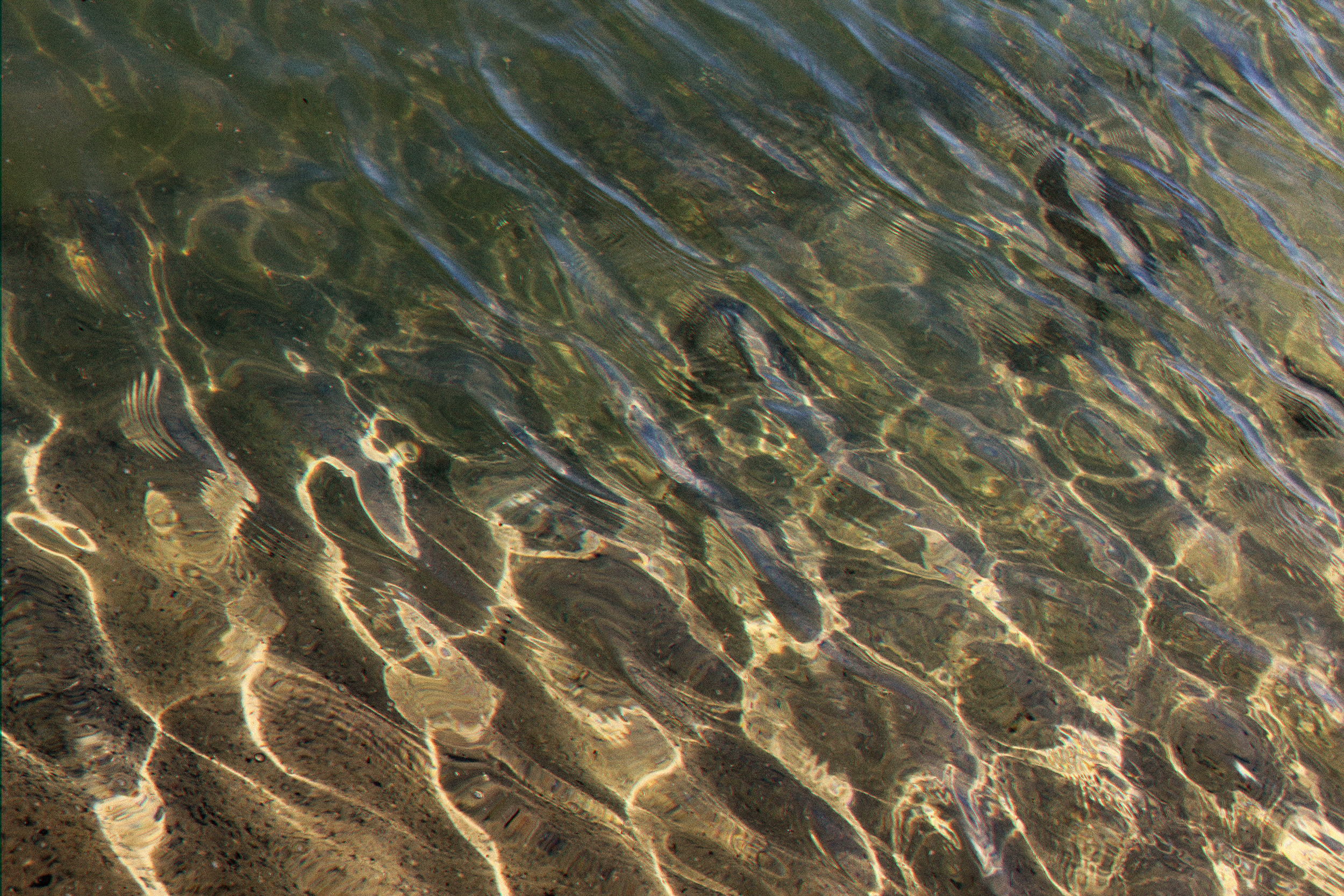 IMG_2669 JAVI squarespace.png